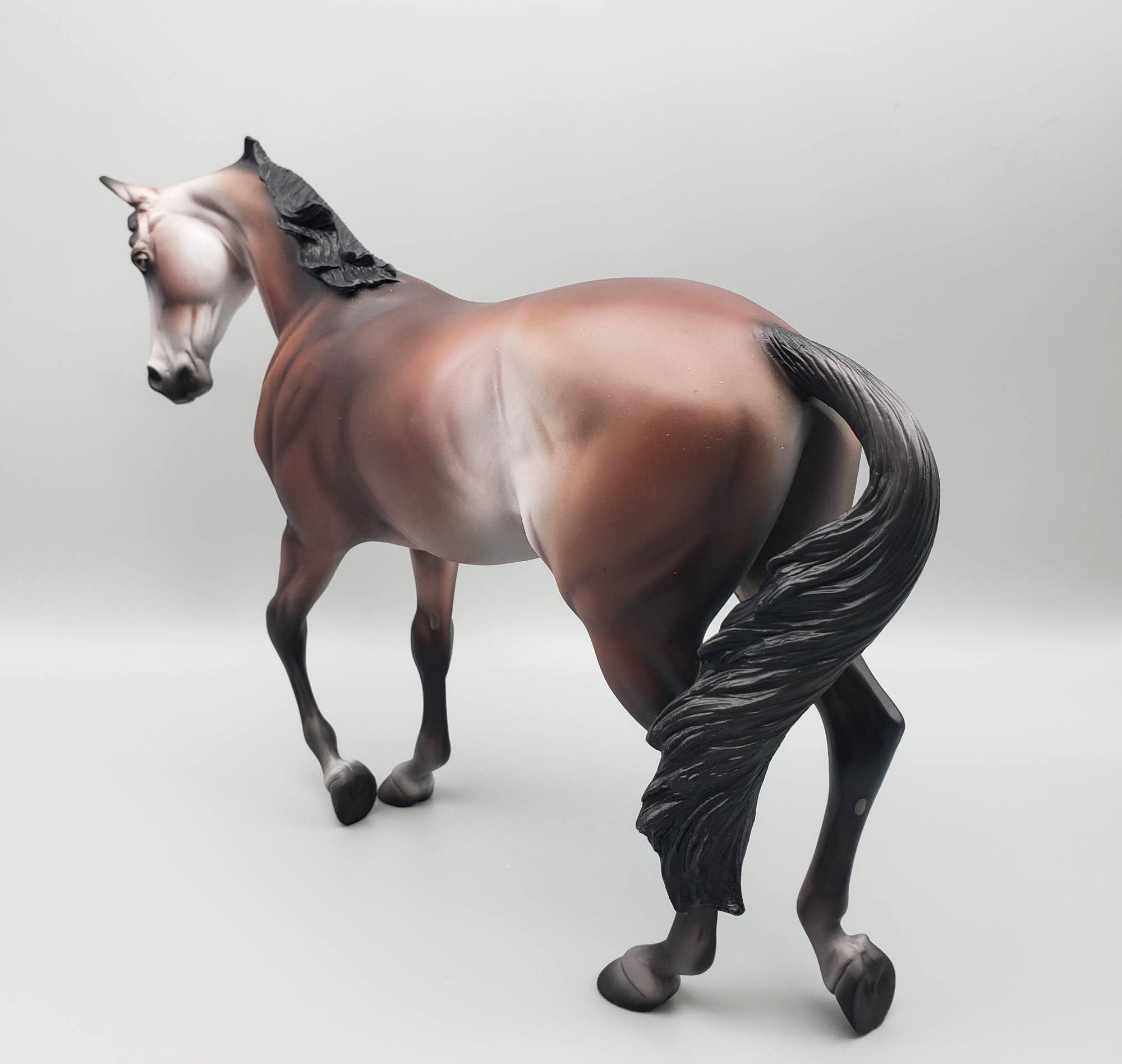 Sir Gideon - OOAK - Bay Going Grey Thoroughbred By Jess Hamill EQ23