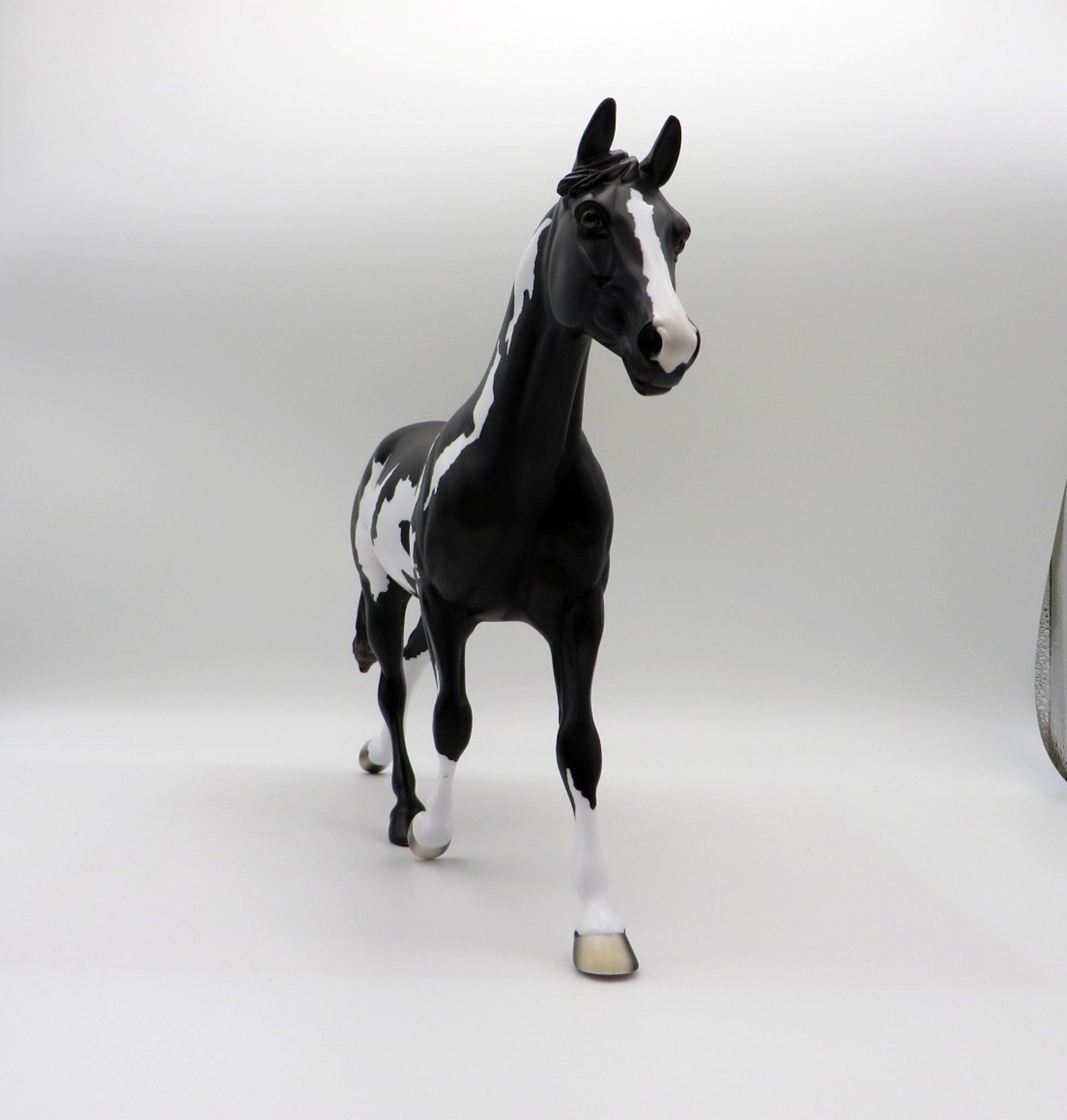 Sirroco-LE5-Black and White Overo Palouse 5/21/21