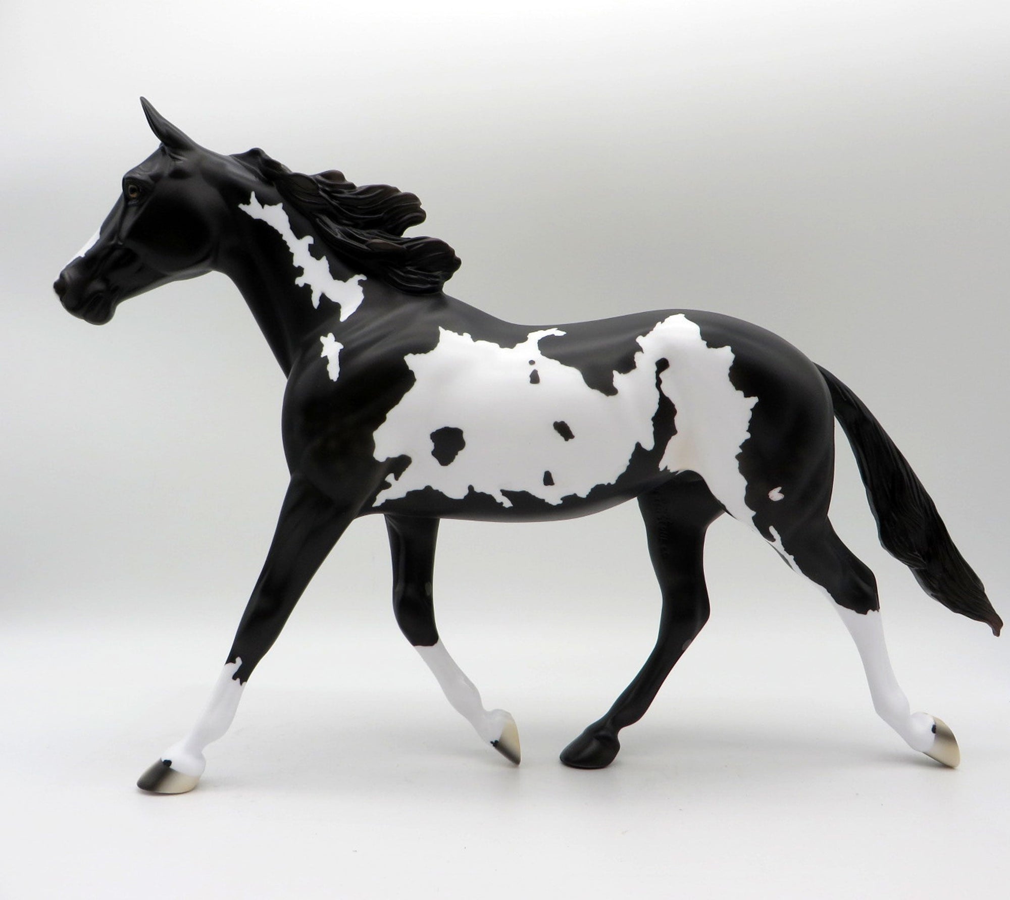 Sirroco-LE5-Black and White Overo Palouse 5/21/21