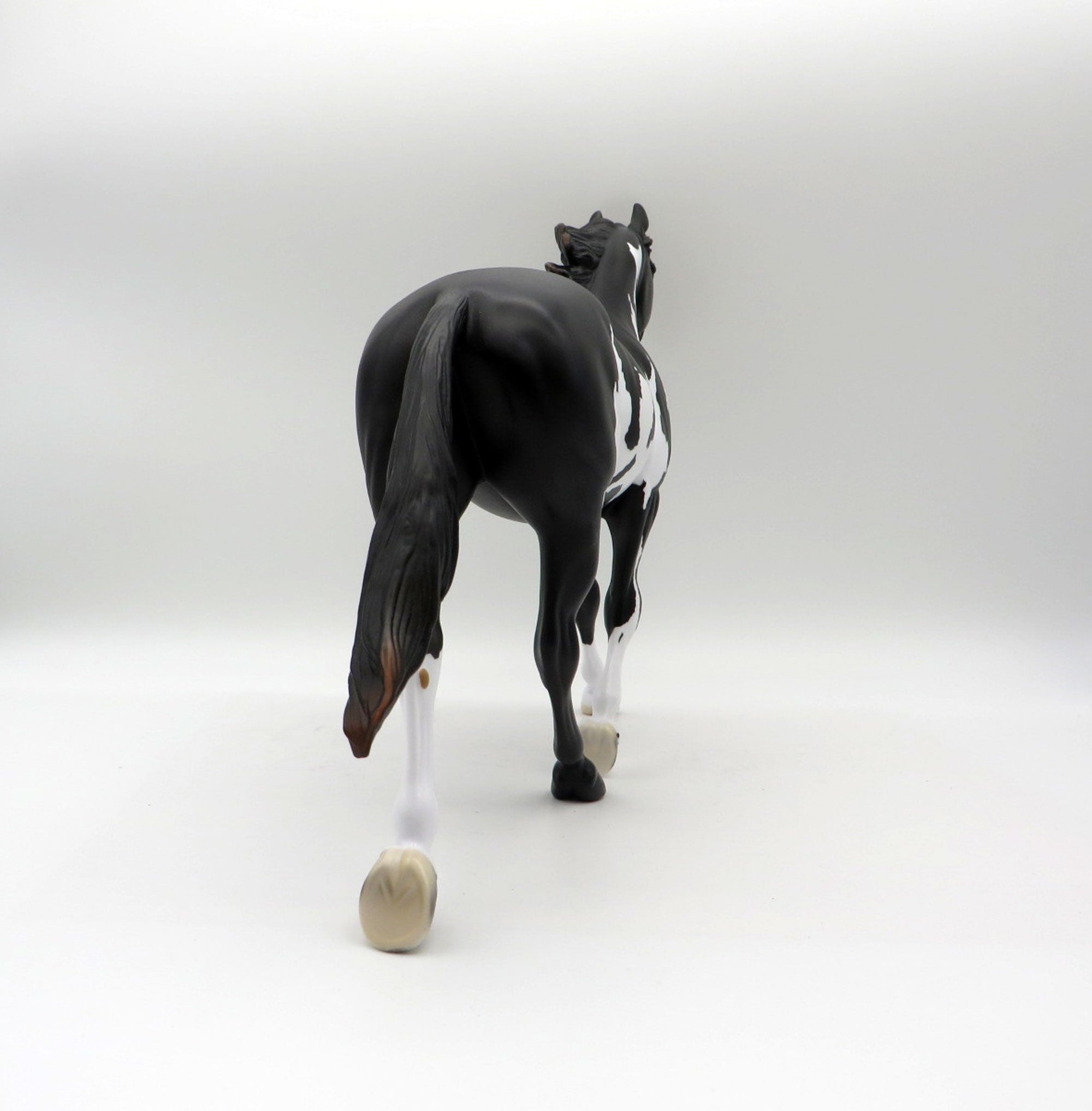 Sirroco-LE5-Black and White Overo Palouse 5/21/21