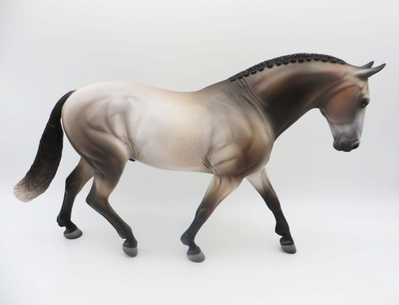 SKOGKATT-OOAK Bay Going Grey Irish Draft P&amp;C 23