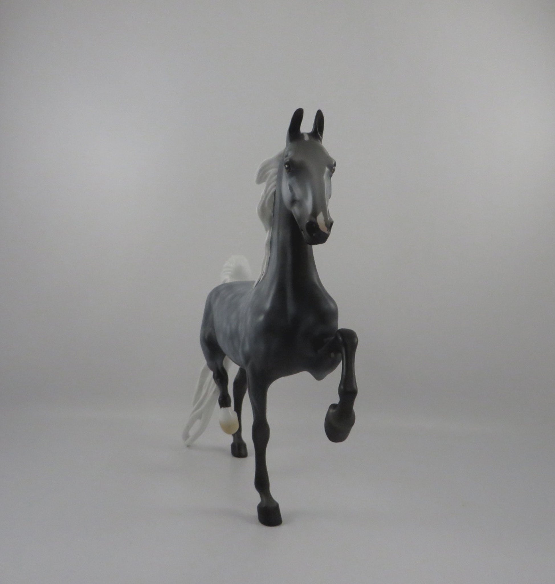 Skye-OOAK Dapple Grey Saddlebred  2/25/21