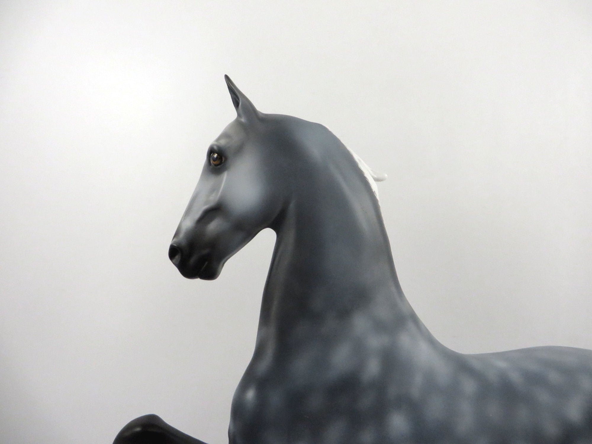 Skye-OOAK Dapple Grey Saddlebred  2/25/21