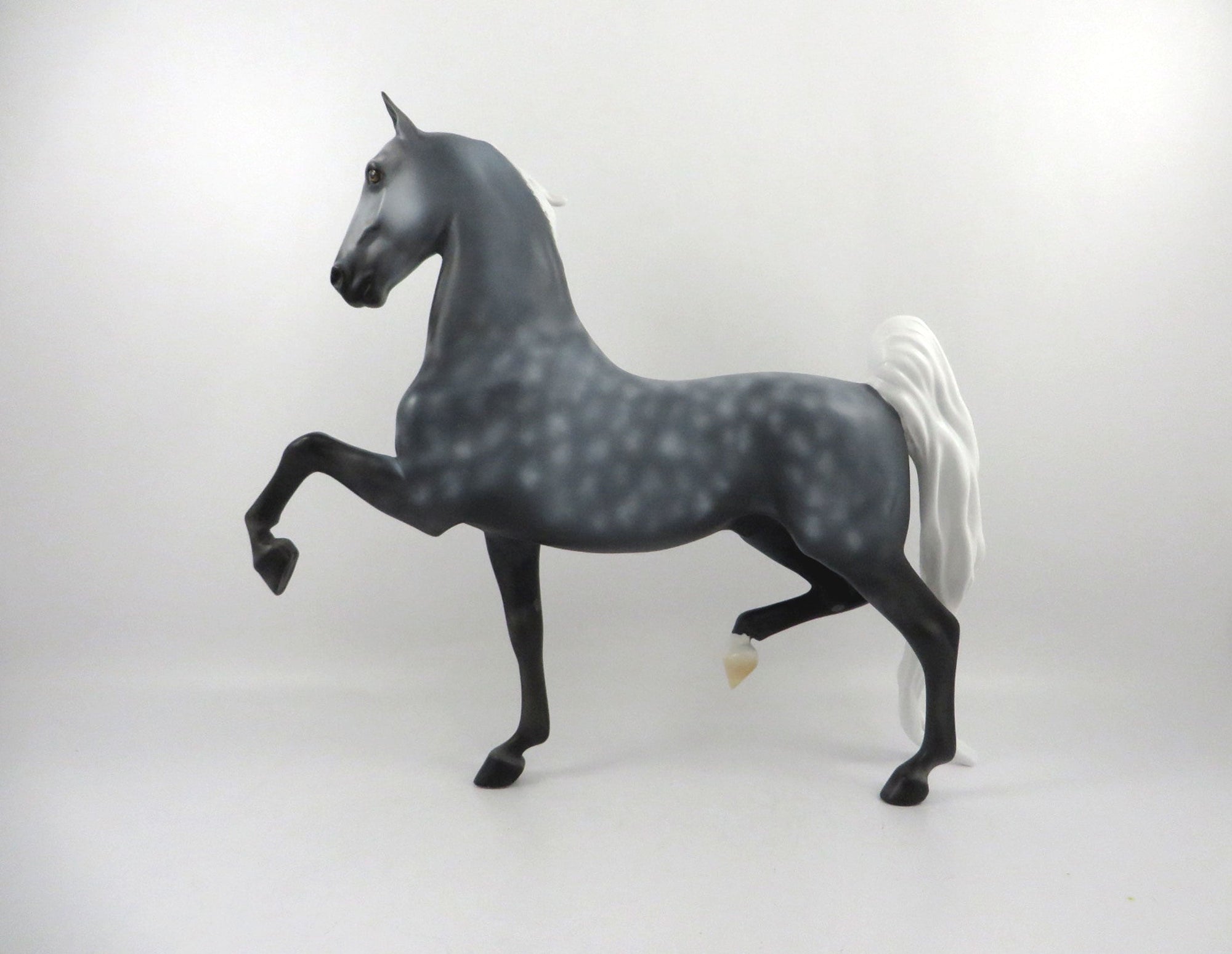 Skye-OOAK Dapple Grey Saddlebred  2/25/21