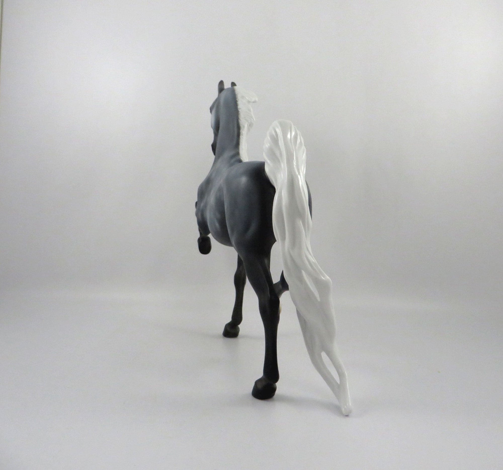 Skye-OOAK Dapple Grey Saddlebred  2/25/21