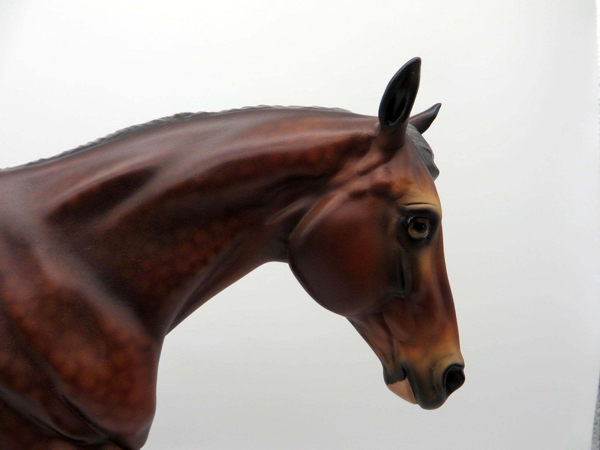 Slainte-OOAK Silver Bay Running Stock Horse By Audrey Dixon 3/22