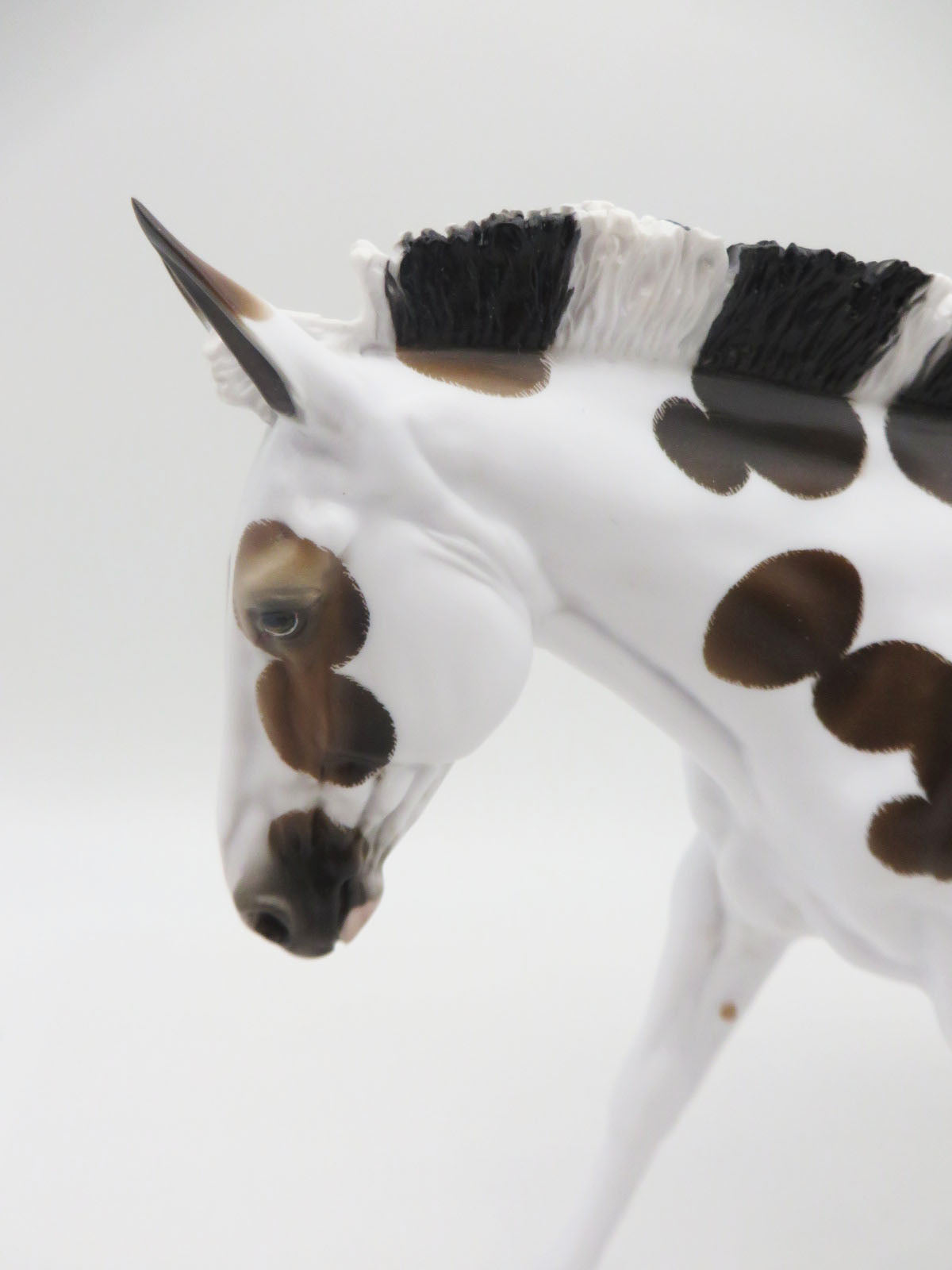 Slight Of Hand - OOAK - Spotted Mule By Shery Leisure - Best Offers 2/12/23 P&amp;C 23