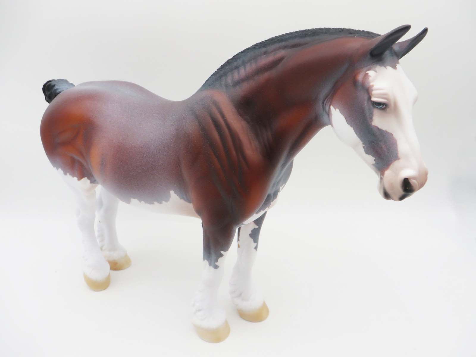 Sloan - OOAK - Bay Roan Heavy Draft By Dawn Quick - SHCF23