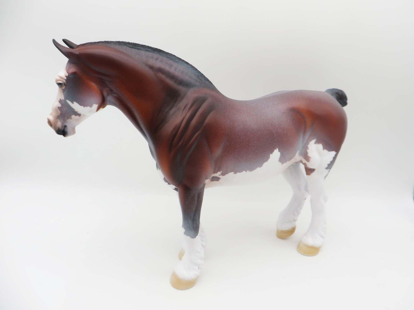 Sloan - OOAK - Bay Roan Heavy Draft By Dawn Quick - SHCF23