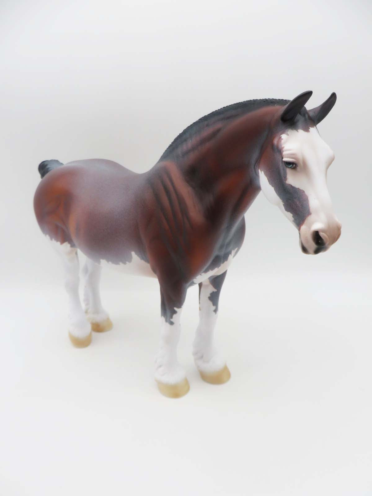 Sloan - OOAK - Bay Roan Heavy Draft By Dawn Quick - SHCF23