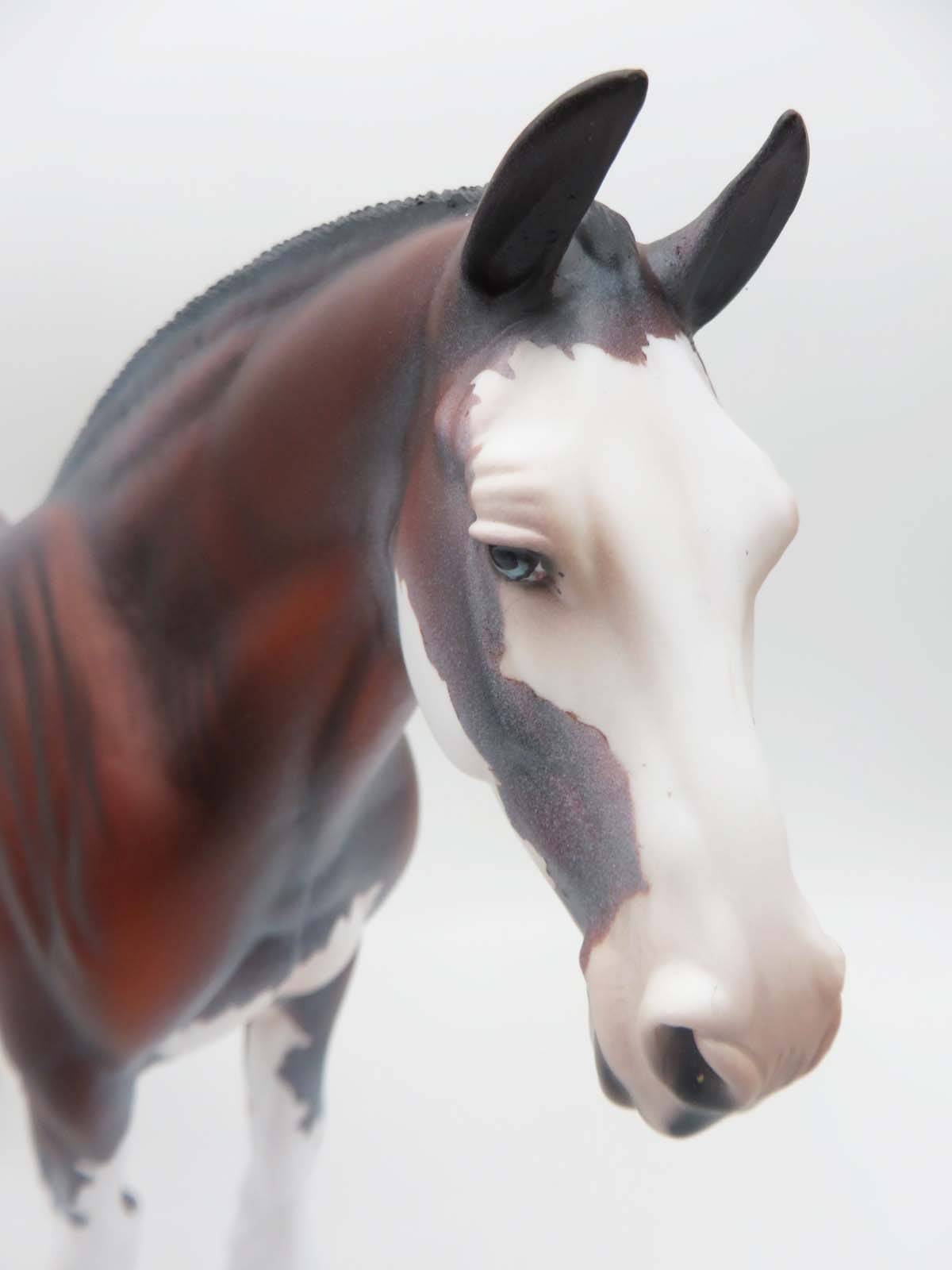 Sloan - OOAK - Bay Roan Heavy Draft By Dawn Quick - SHCF23