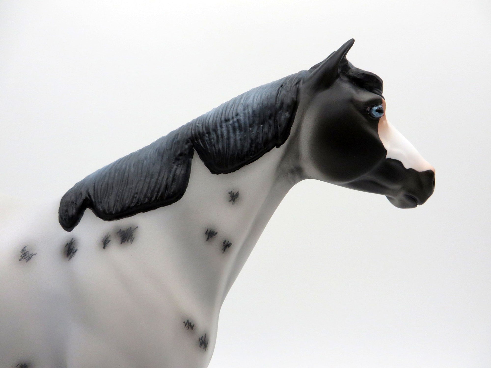 Smart Little Tina-LE-15 Ranch Horse Series 3/26/21