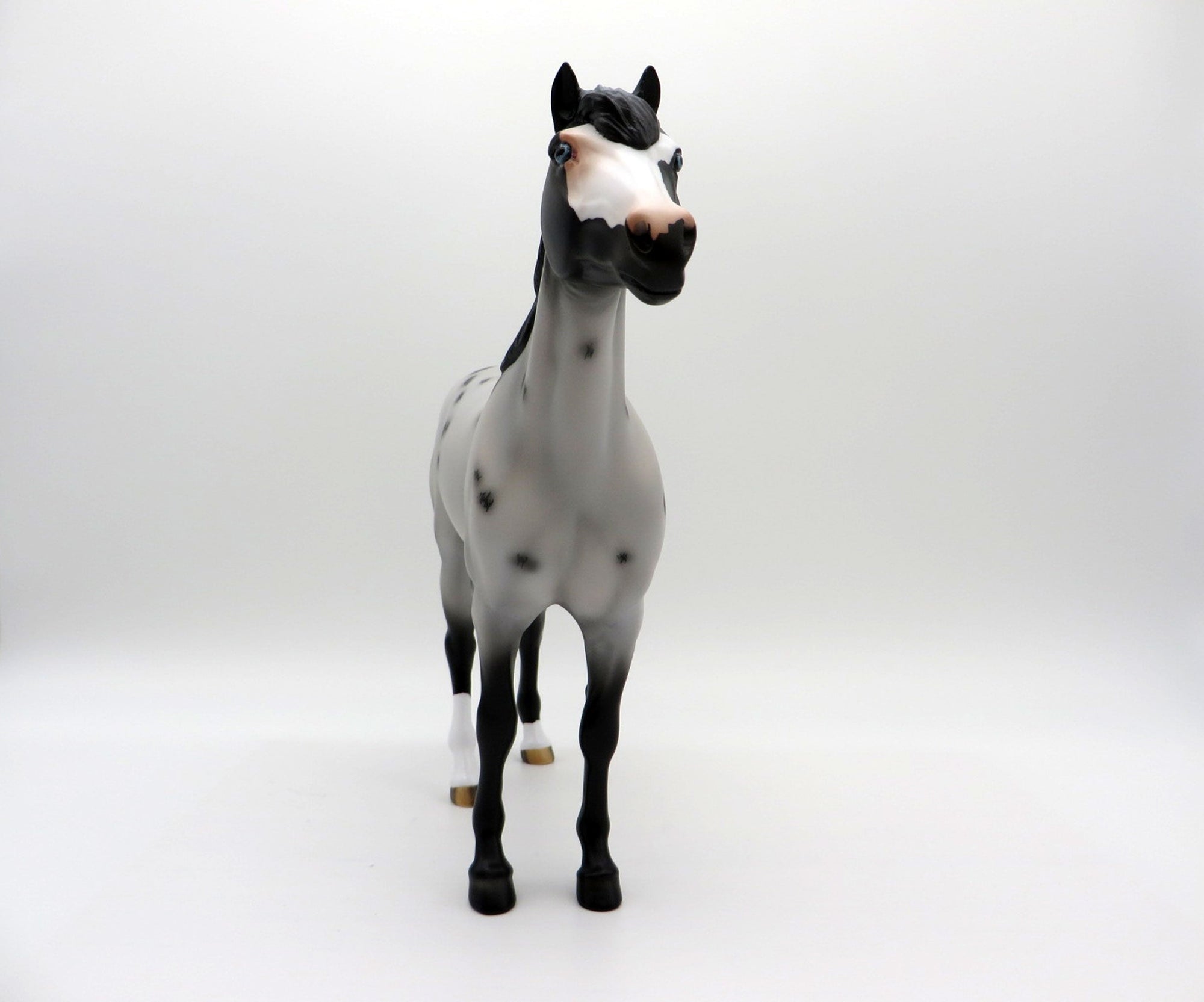 Smart Little Tina-LE-15 Ranch Horse Series 3/26/21