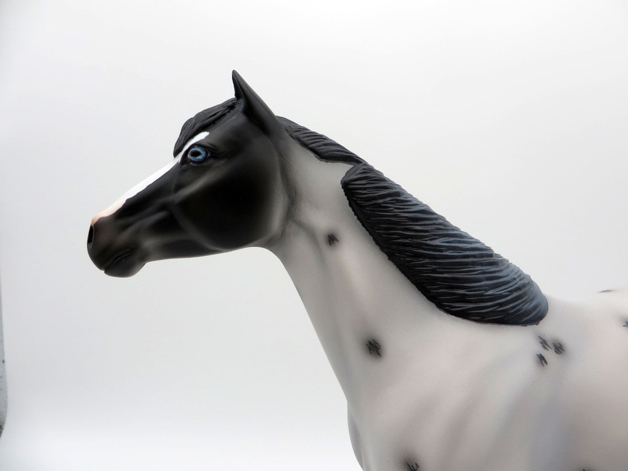 Smart Little Tina-LE-15 Ranch Horse Series 3/26/21