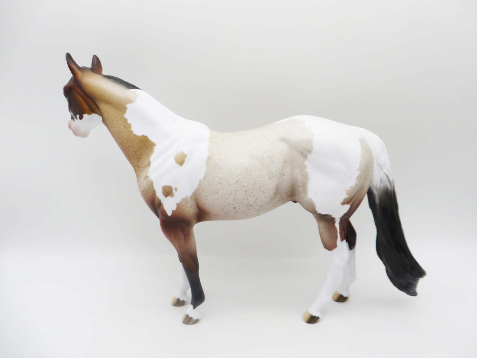 Smart Sprinkle - OOAK - Bay Roan Tobiano Ideal Stock Horse By Dawn Quick - SHCF23