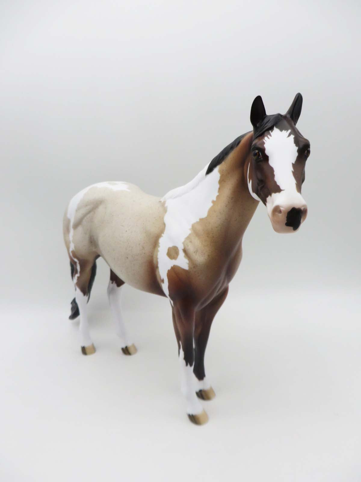 Smart Sprinkle - OOAK - Bay Roan Tobiano Ideal Stock Horse By Dawn Quick - SHCF23