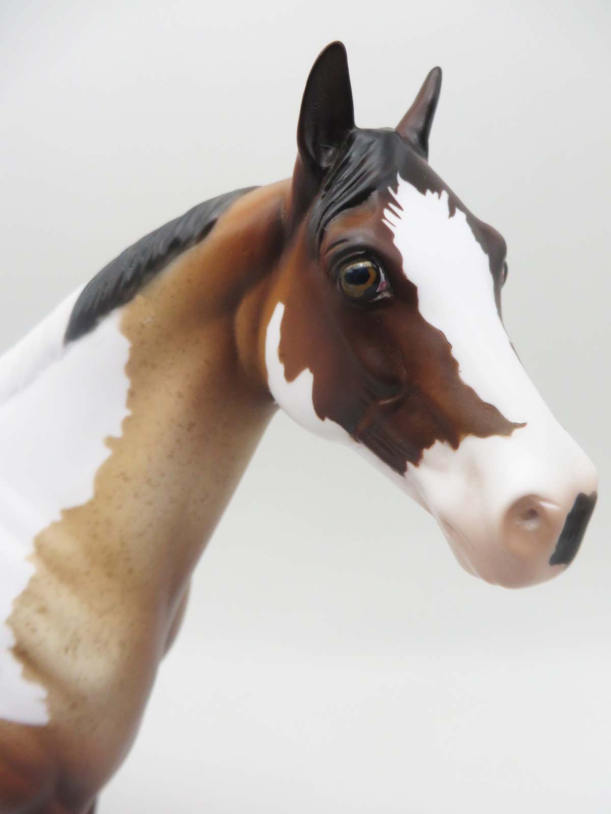Smart Sprinkle - OOAK - Bay Roan Tobiano Ideal Stock Horse By Dawn Quick - SHCF23
