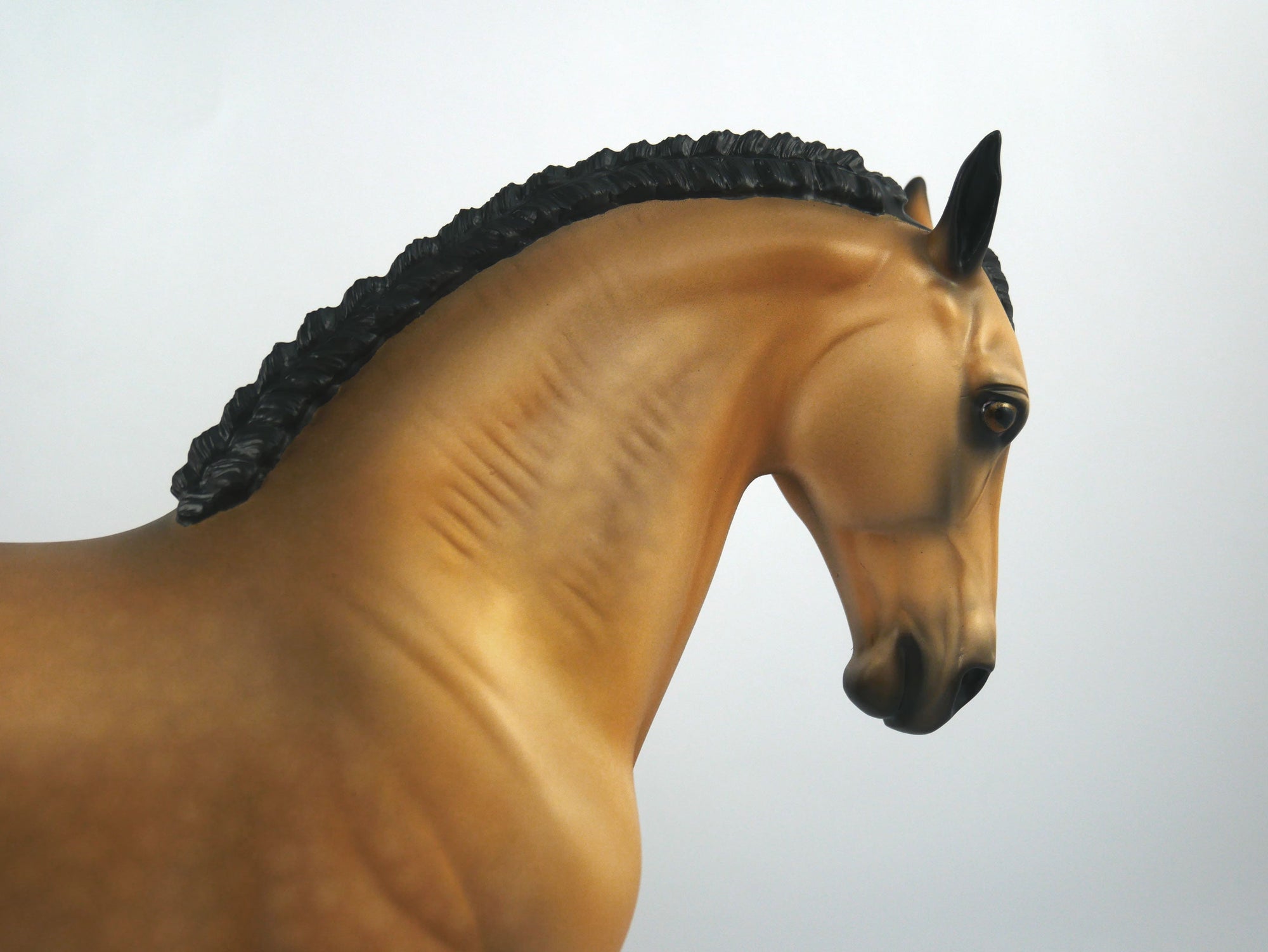 Snap Back-OOAK Dapple Buckskin Andalusian Painted by Audrey Dixon SB21