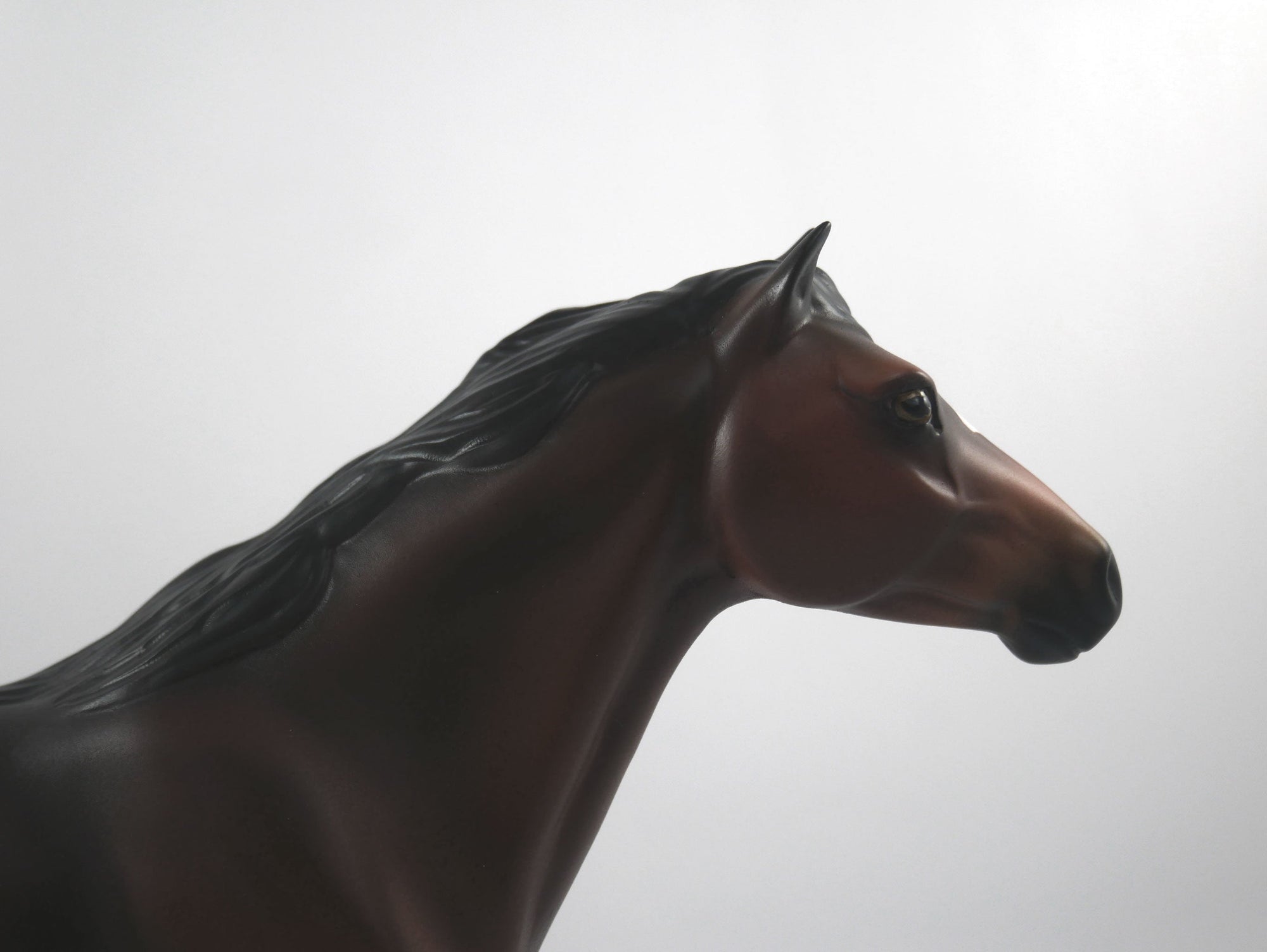 Snap-OOAK Bay Mustang  SB21