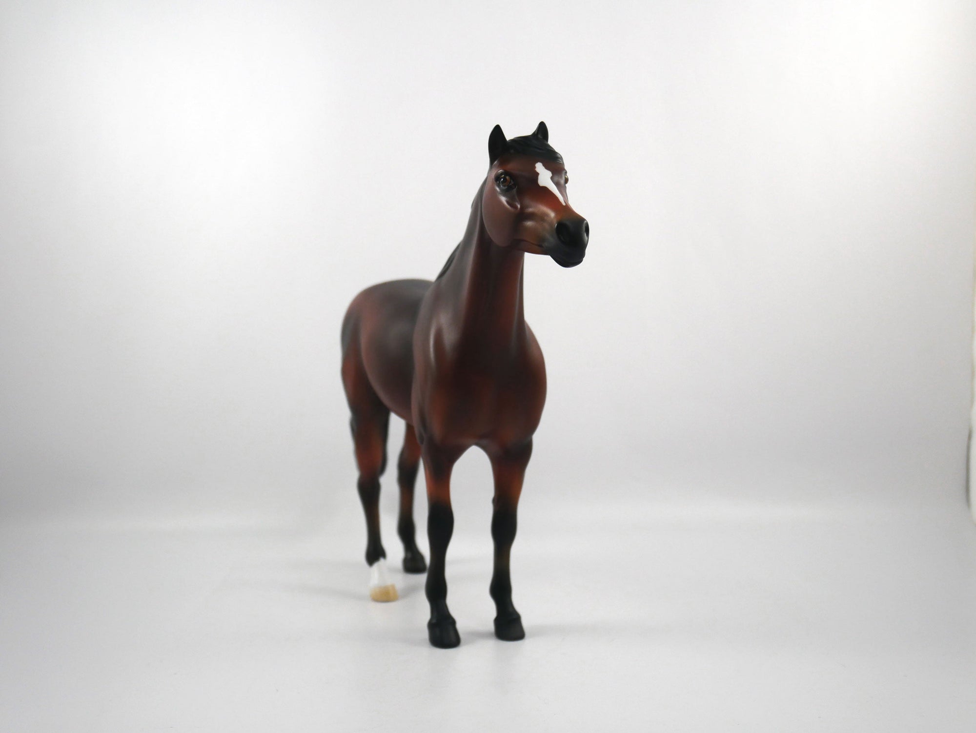 Snap-OOAK Bay Mustang  SB21