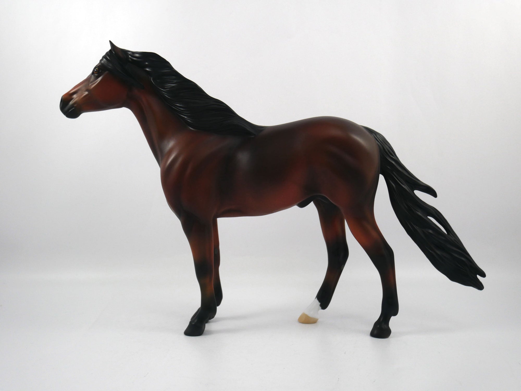 Snap-OOAK Bay Mustang  SB21