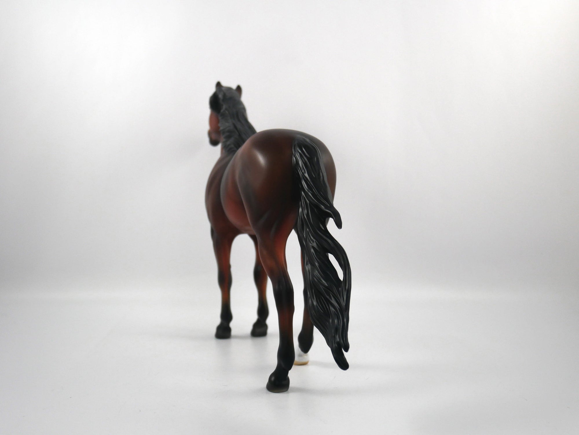 Snap-OOAK Bay Mustang  SB21