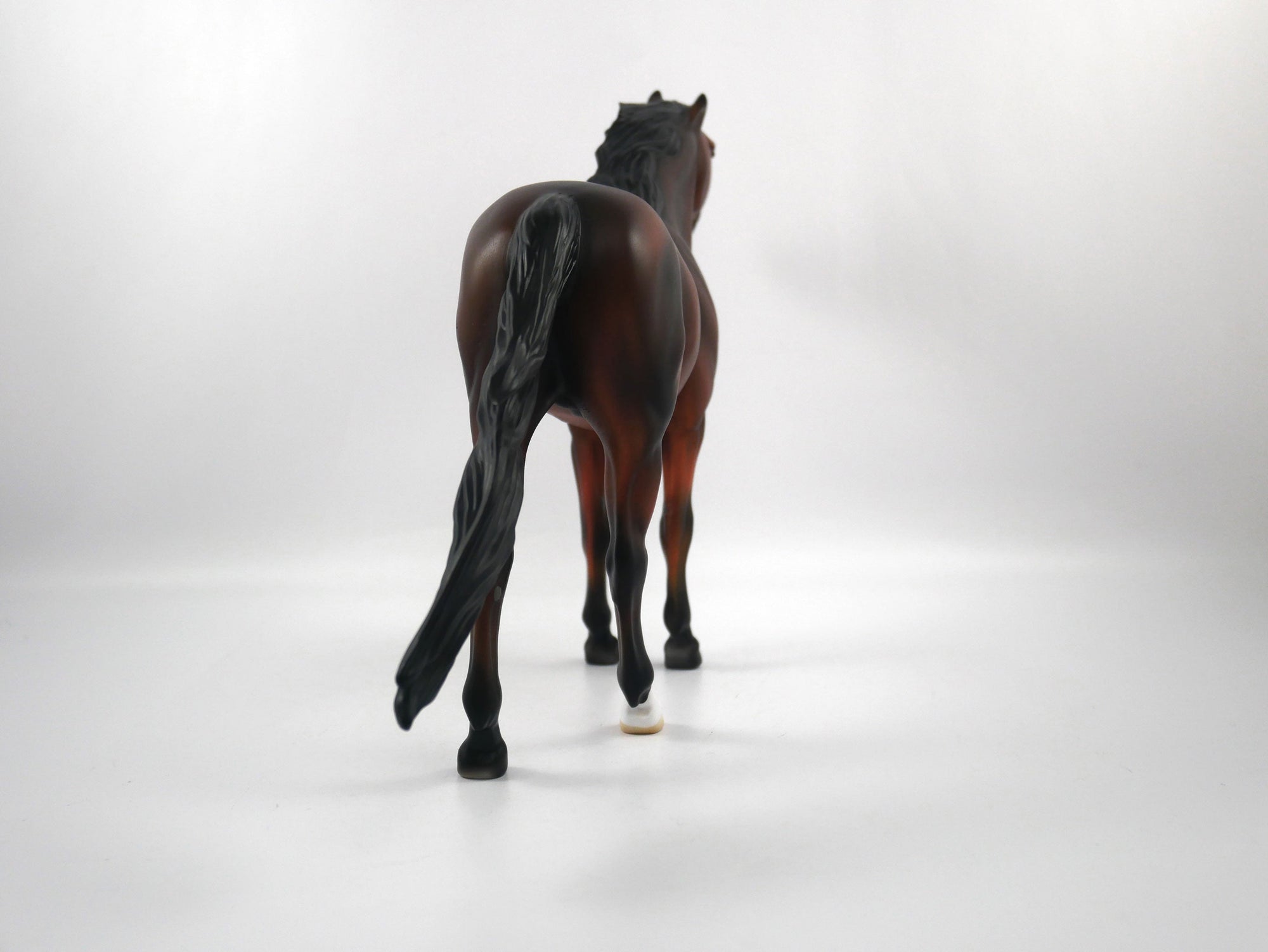 Snap-OOAK Bay Mustang  SB21