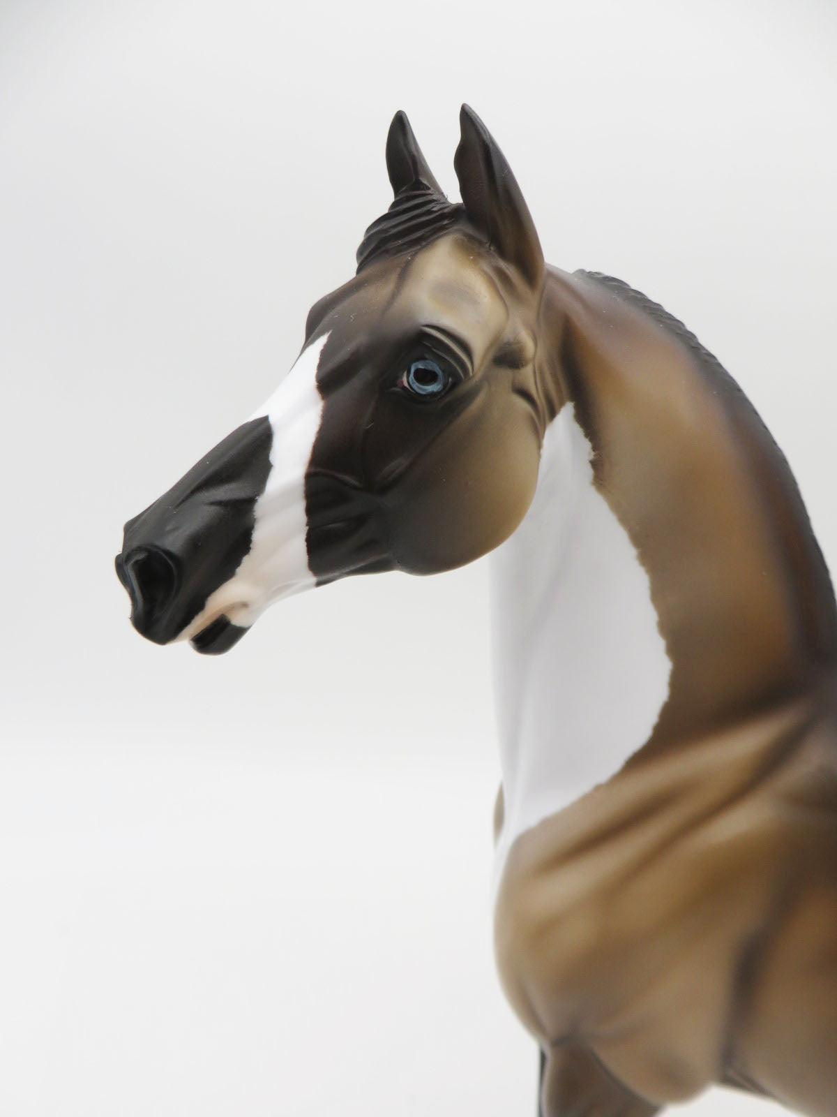 Oscar-LE-15  Snowshoe Morgan  Painted by Angela Marleau  P&amp;C 23