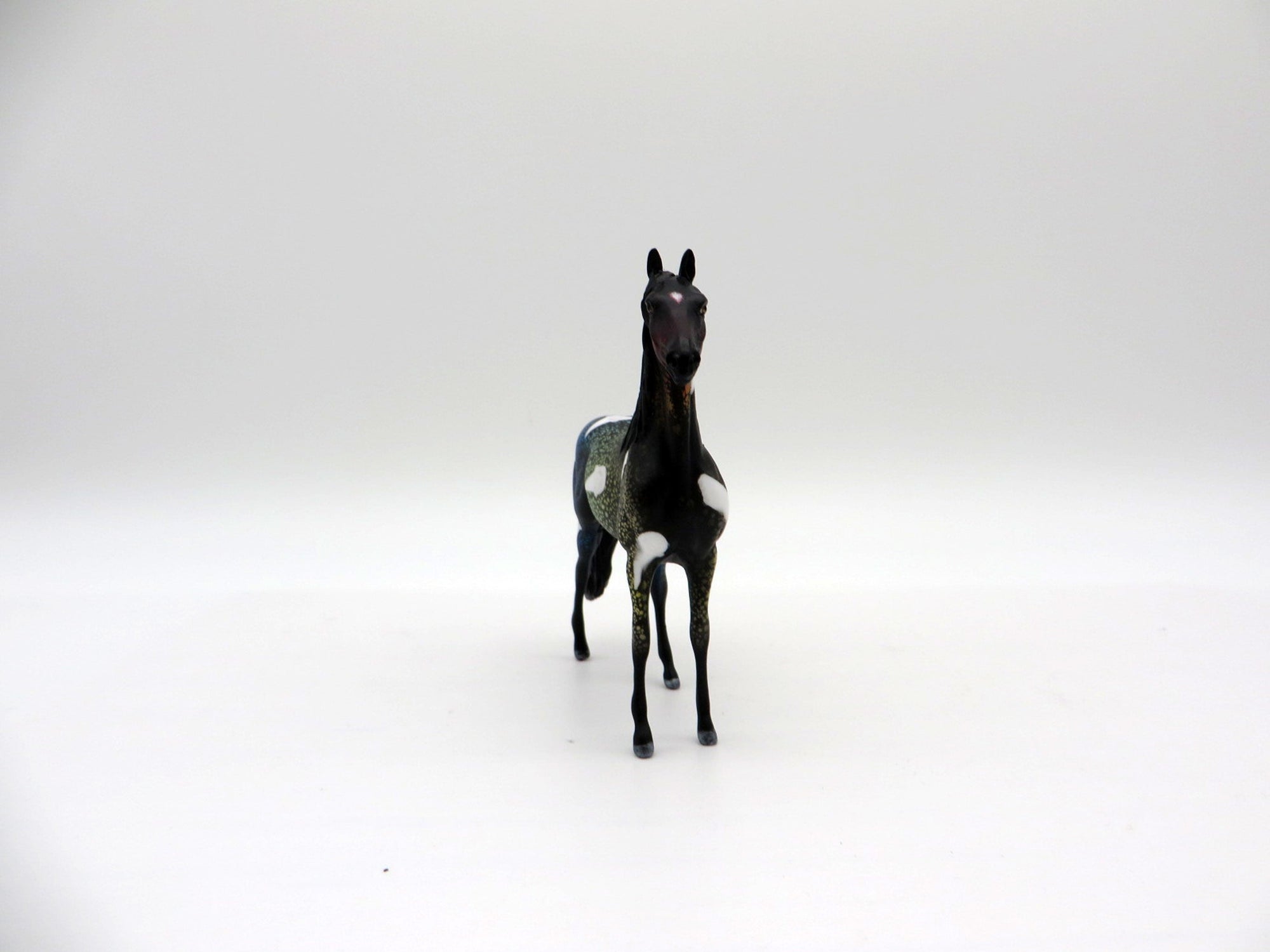 Soda Pop-OOAK Morgan Chip Painted By Ellen Robbins  NICM-7/23/21