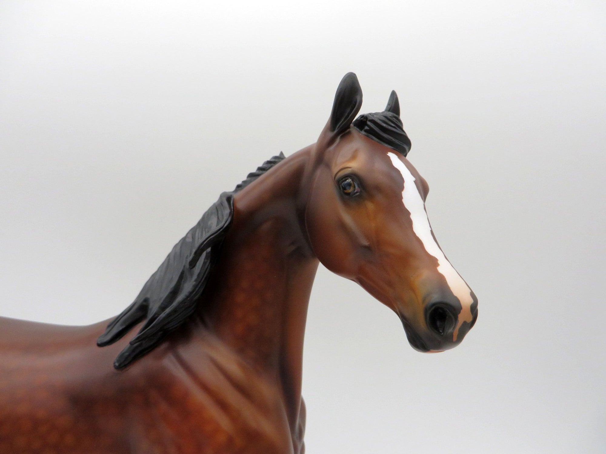 Sonata-OOAK Dapple Bay Arabian Mare SHCF 2021