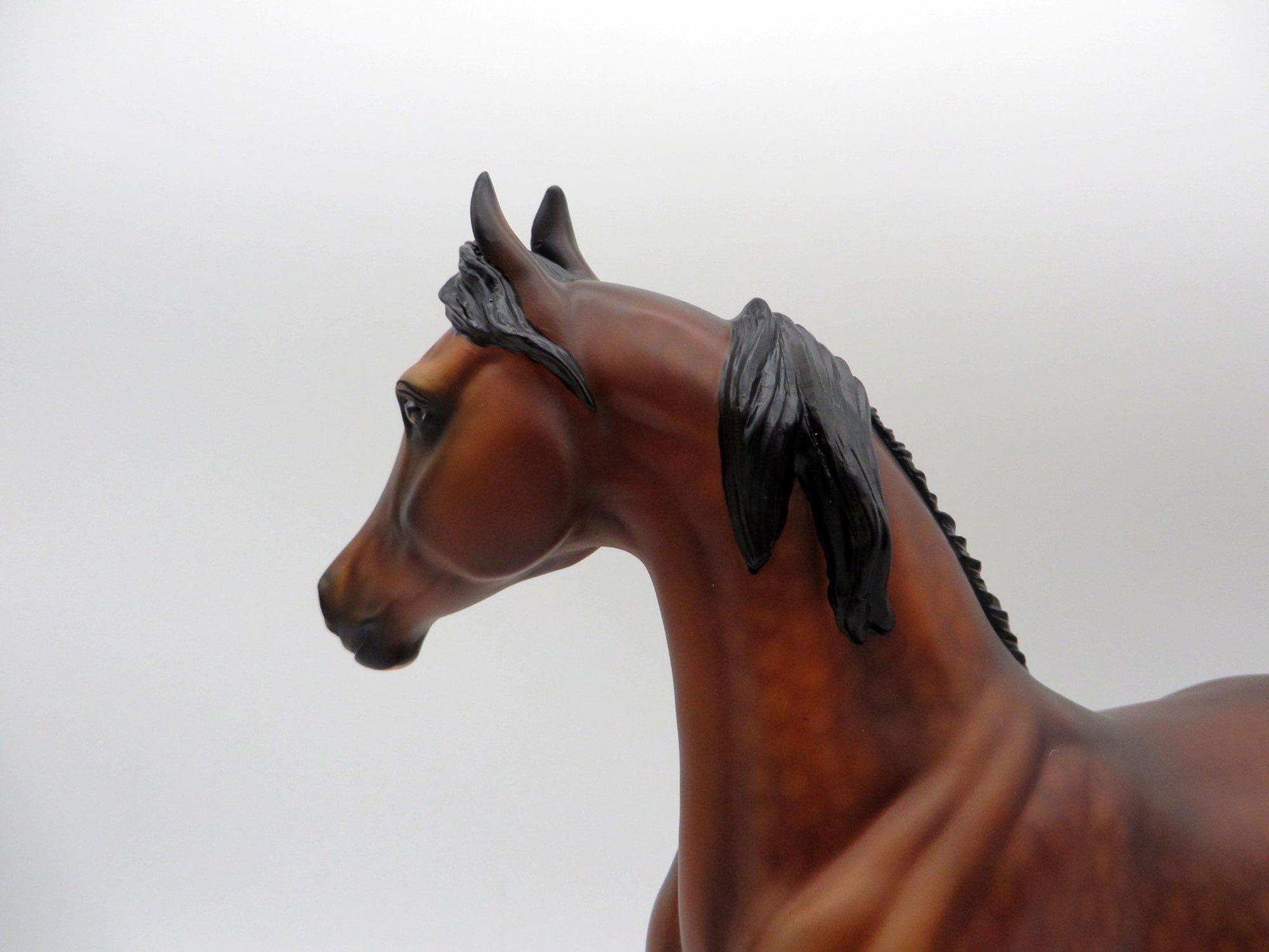 Sonata-OOAK Dapple Bay Arabian Mare SHCF 2021