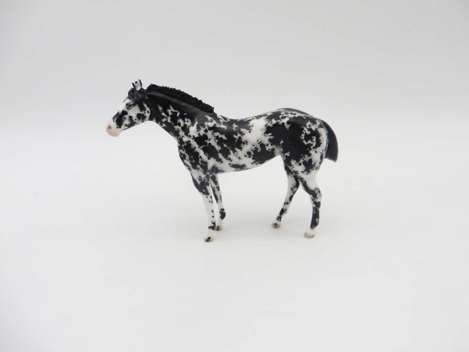Sonoita -OOAK Black Appaloosa Custom Stock Horse Chip Mare By Andrea Thomason SHCF23
