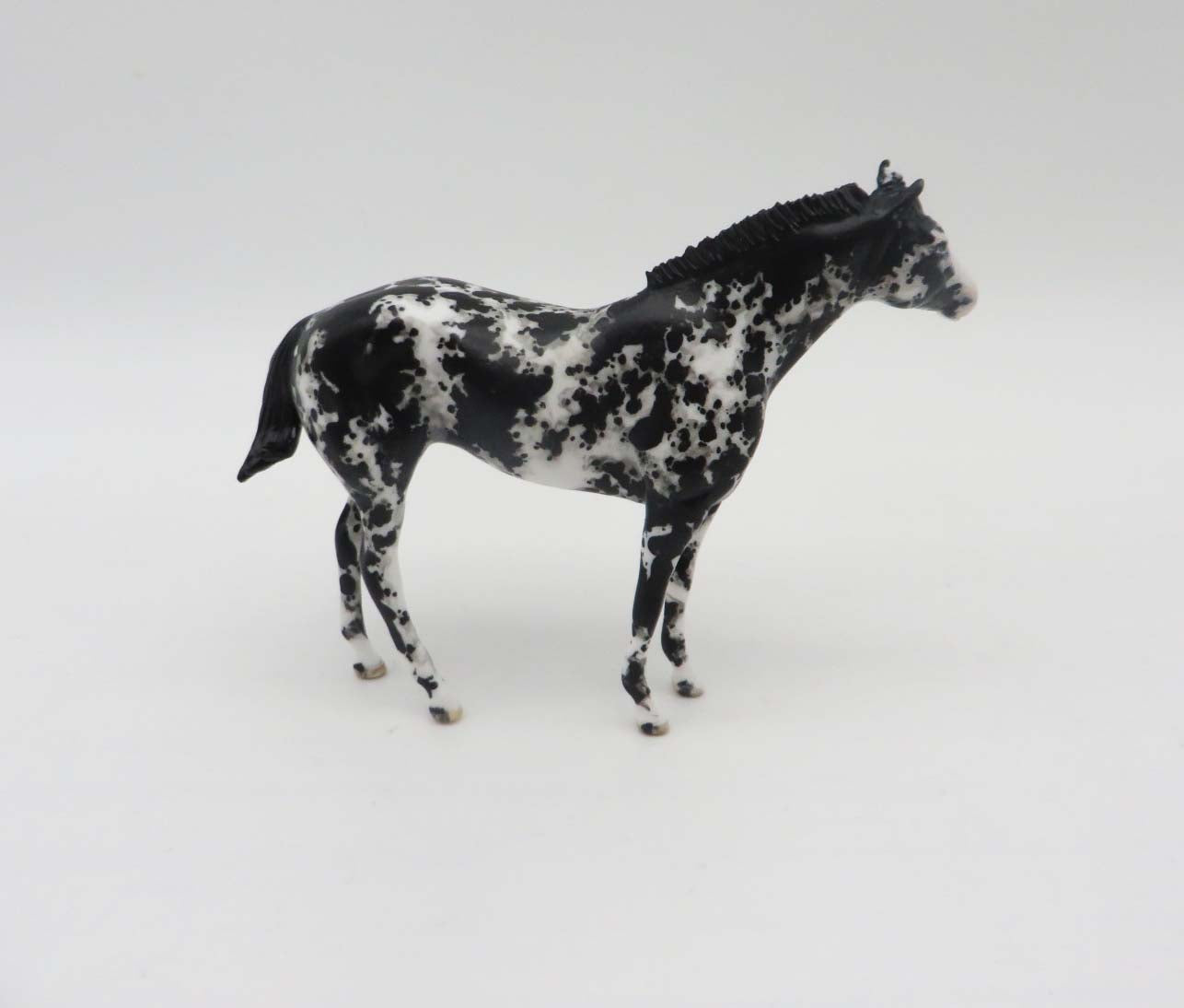 Sonoita -OOAK Black Appaloosa Custom Stock Horse Chip Mare By Andrea Thomason SHCF23