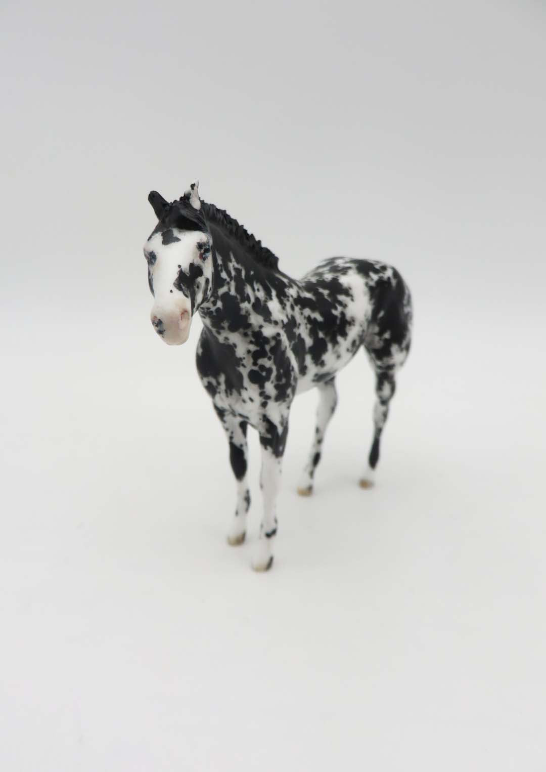 Sonoita -OOAK Black Appaloosa Custom Stock Horse Chip Mare By Andrea Thomason SHCF23