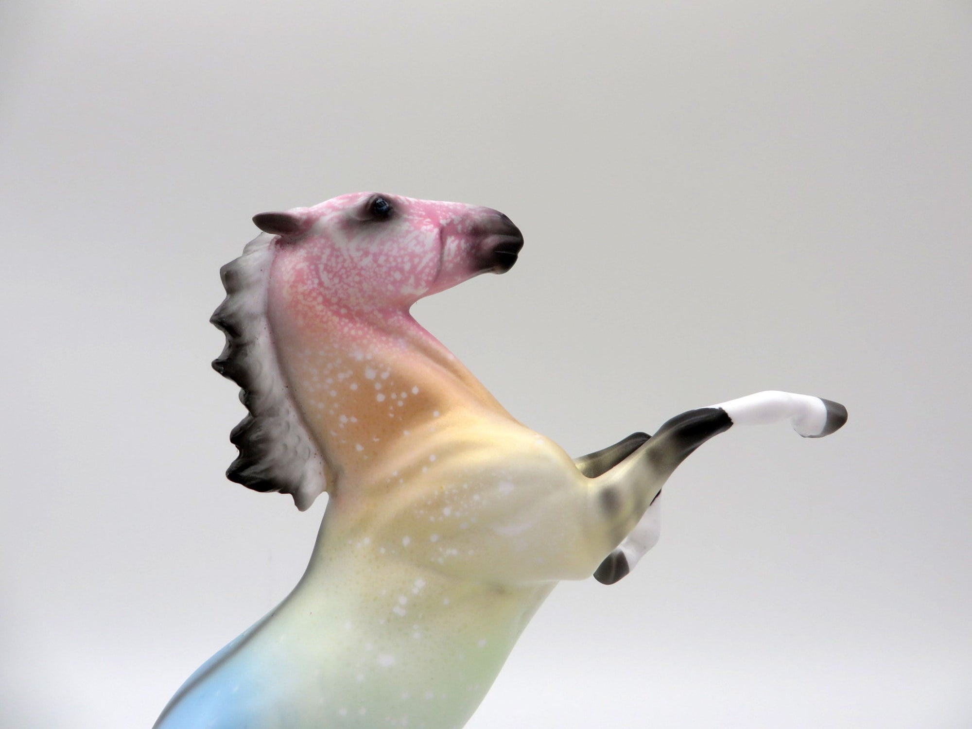 Sorbet-OOAK Deco Rearing Pebbles Painted Ellen Robbins   5/28/21