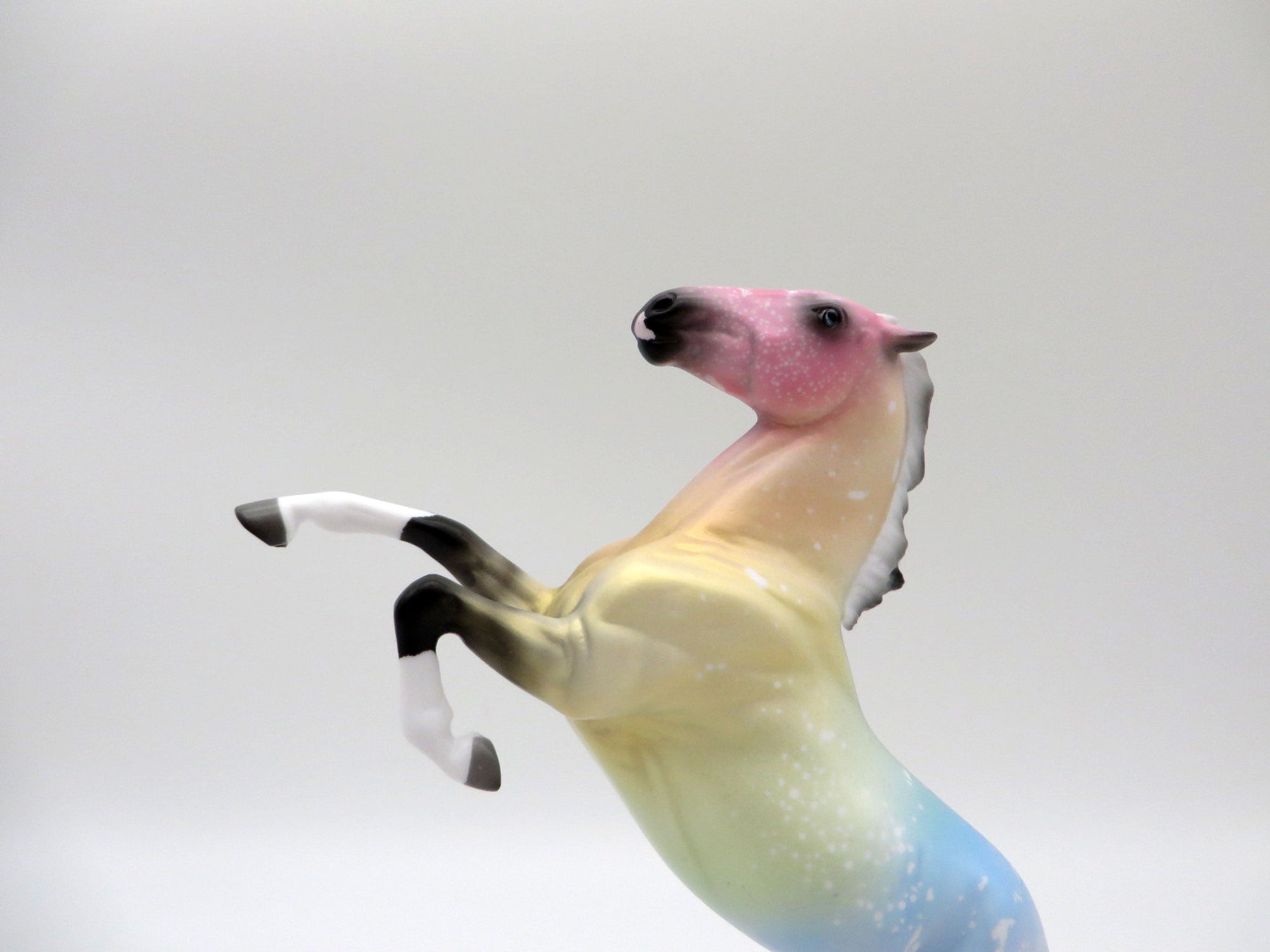 Sorbet-OOAK Deco Rearing Pebbles Painted Ellen Robbins   5/28/21