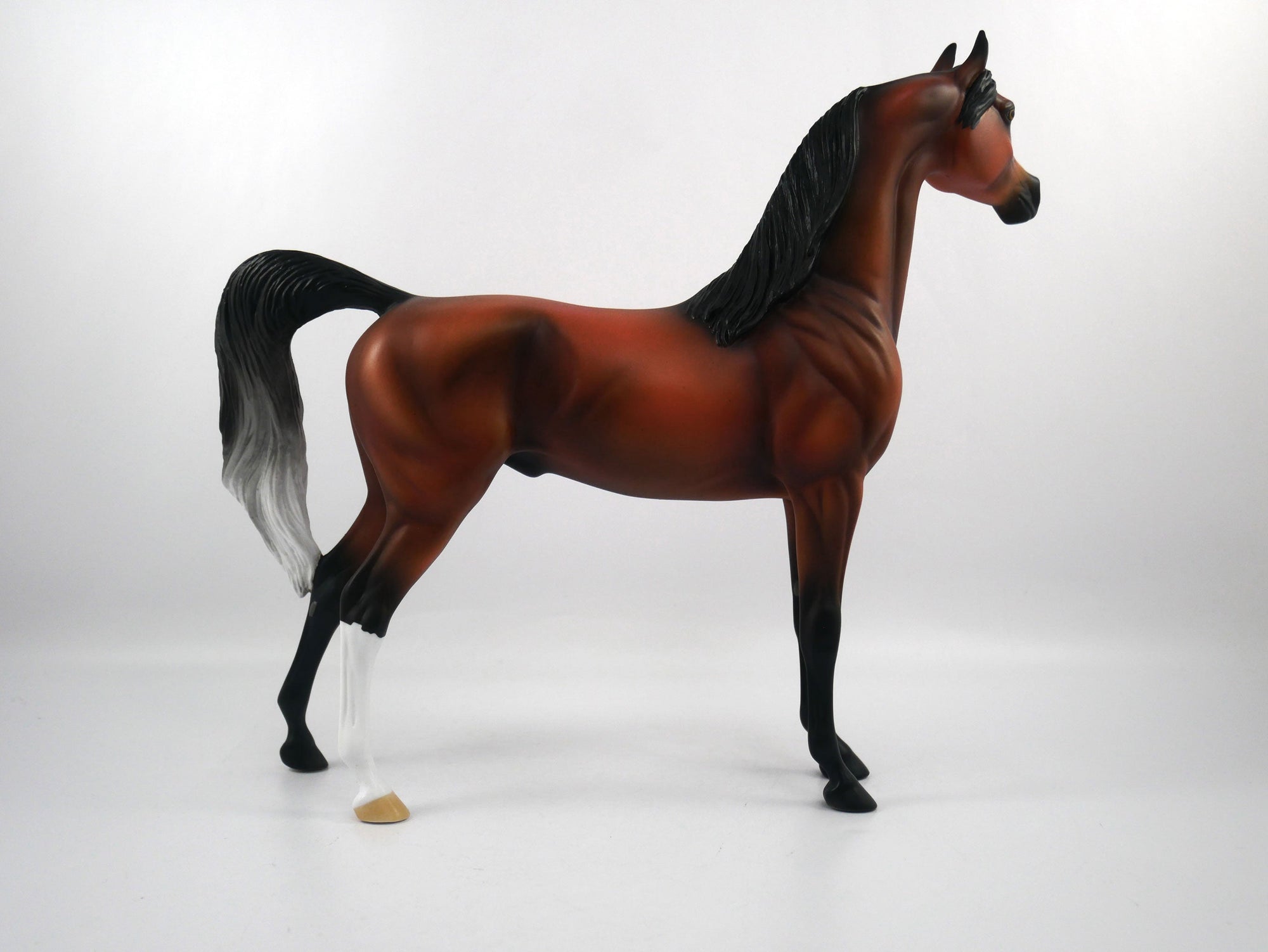 Sore Loser-OOAK Bay Arabian SB21