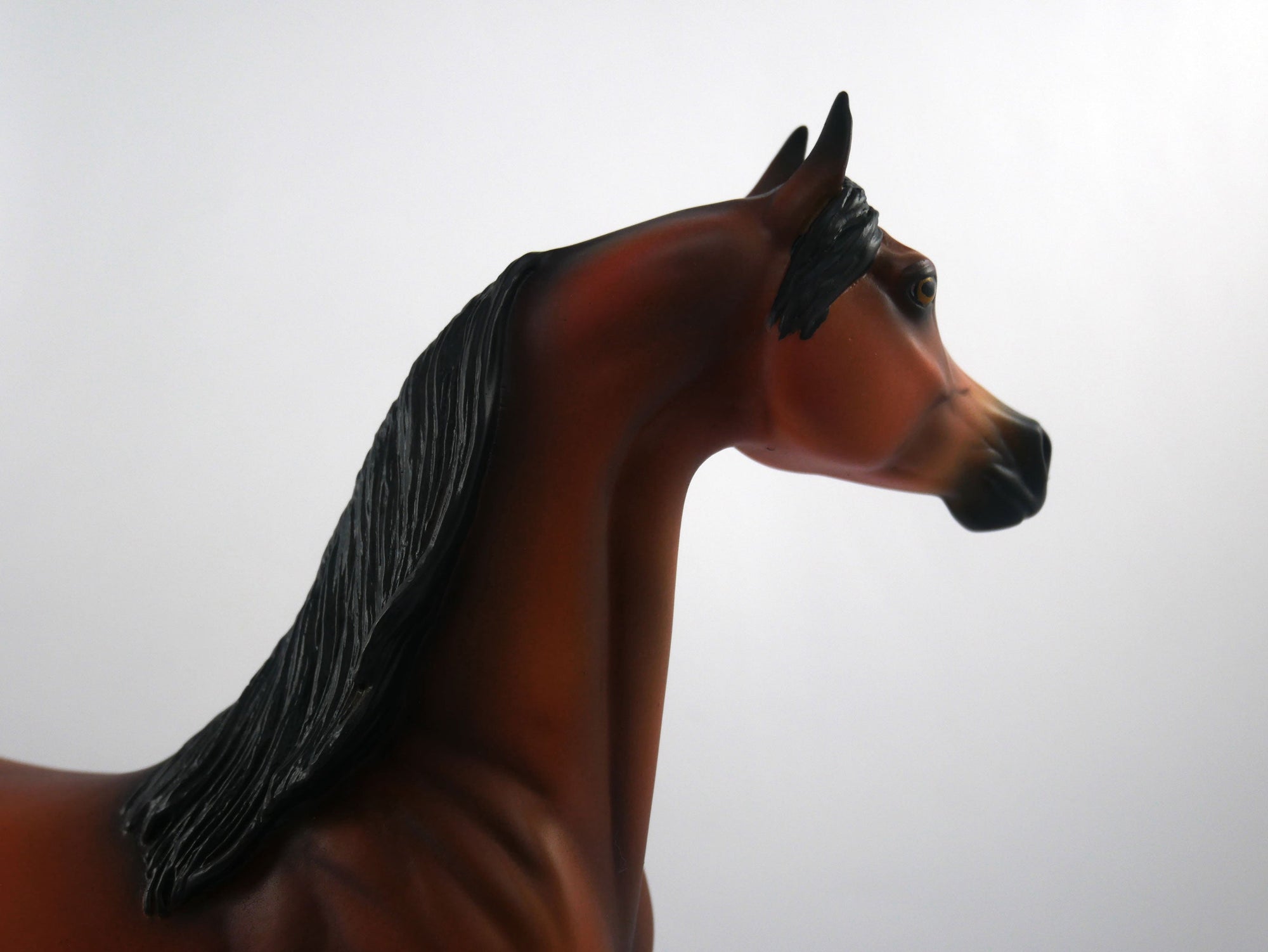 Sore Loser-OOAK Bay Arabian SB21