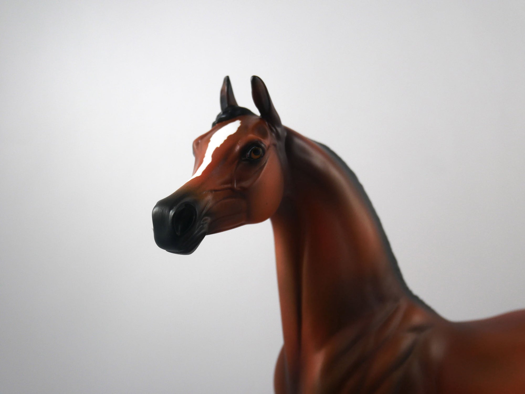 Sore Loser-OOAK Bay Arabian SB21