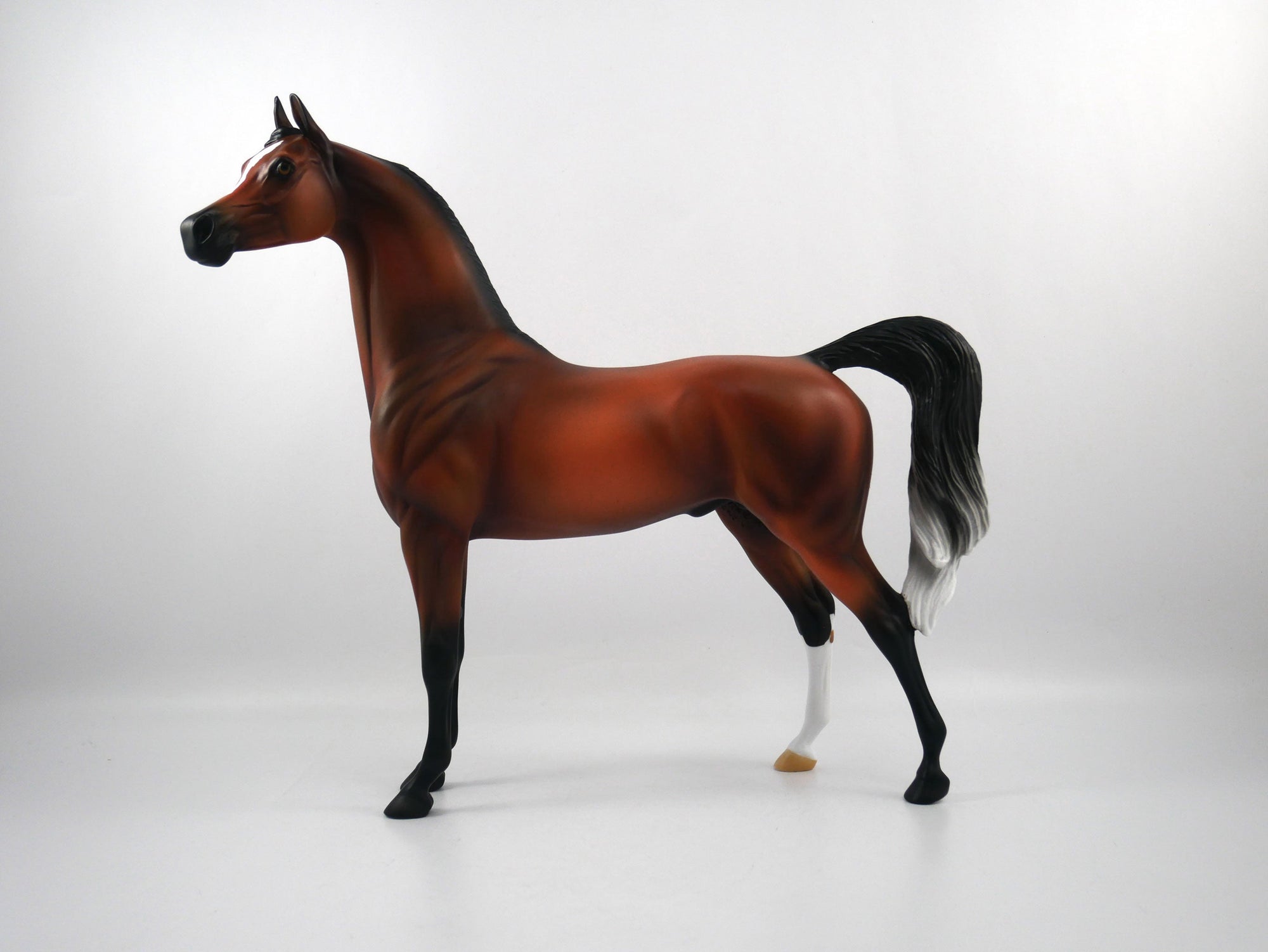 Sore Loser-OOAK Bay Arabian SB21
