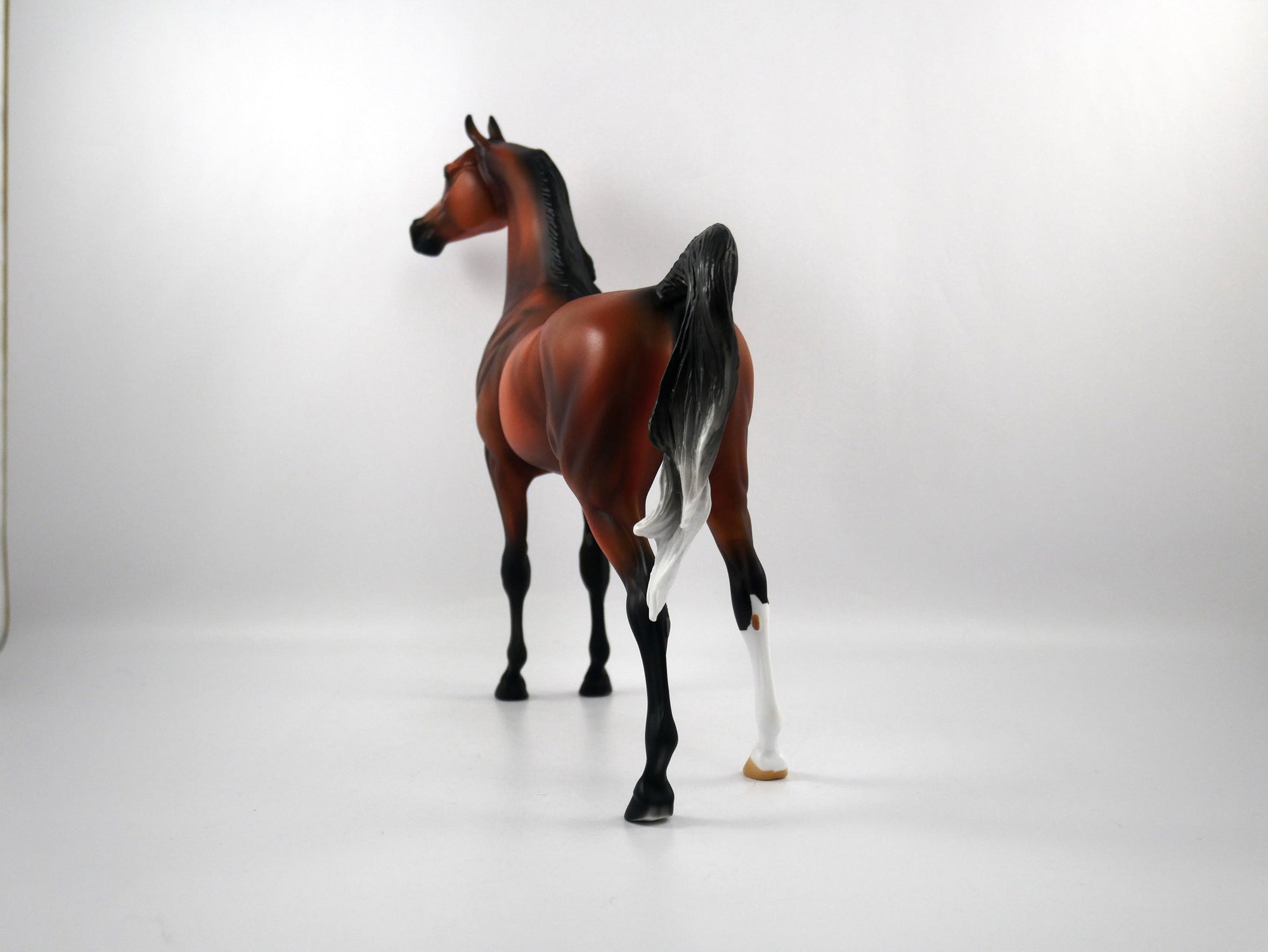 Sore Loser-OOAK Bay Arabian SB21