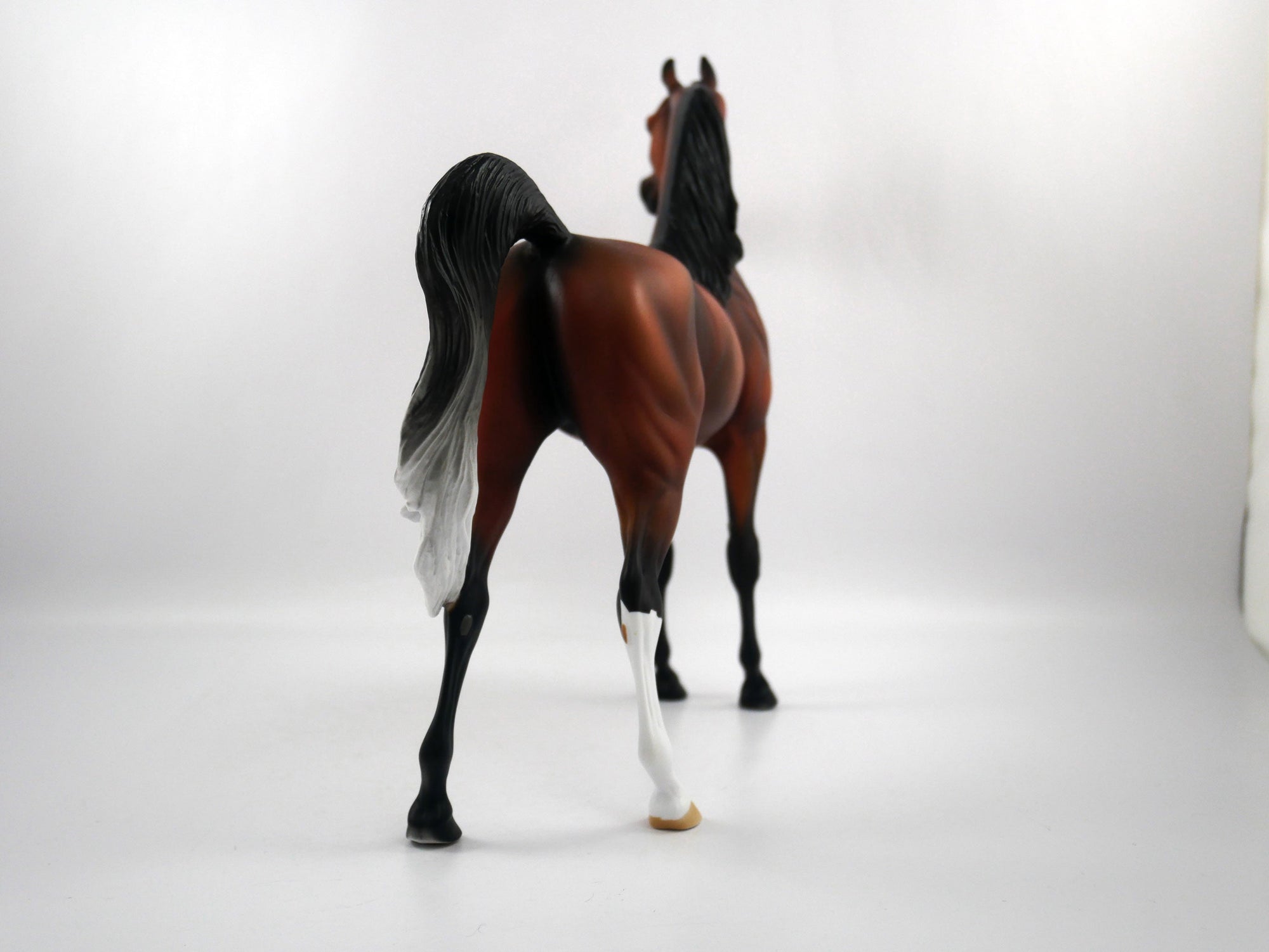 Sore Loser-OOAK Bay Arabian SB21