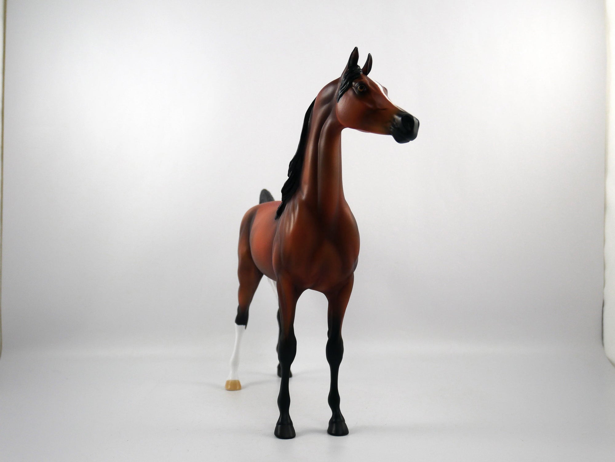 Sore Loser-OOAK Bay Arabian SB21