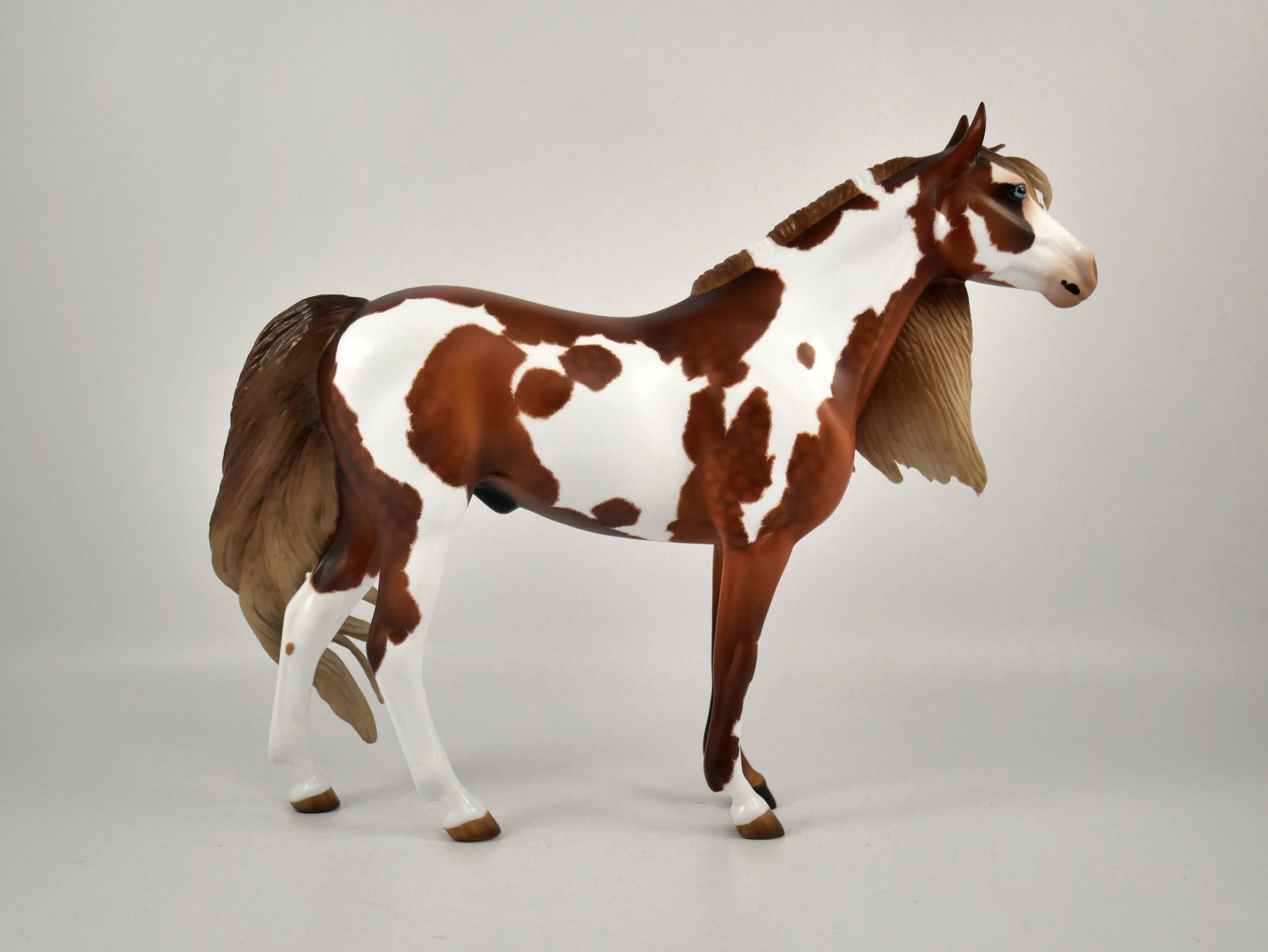 SOUTH STEENS-OOAK FLAXEN CHESTNUT OVERO MUSTANG BY AUDREY DIXON 12/21/20