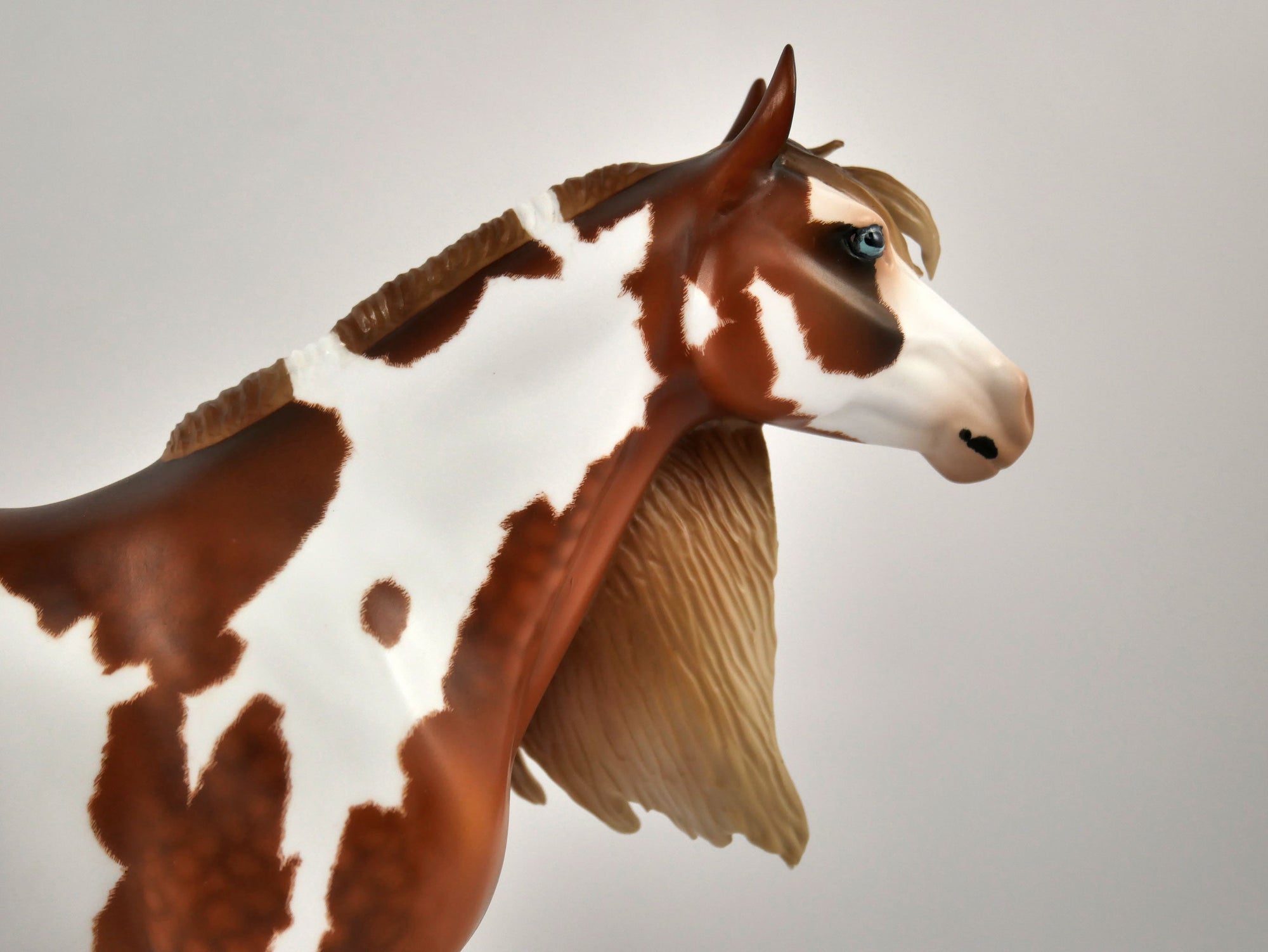 SOUTH STEENS-OOAK FLAXEN CHESTNUT OVERO MUSTANG BY AUDREY DIXON 12/21/20