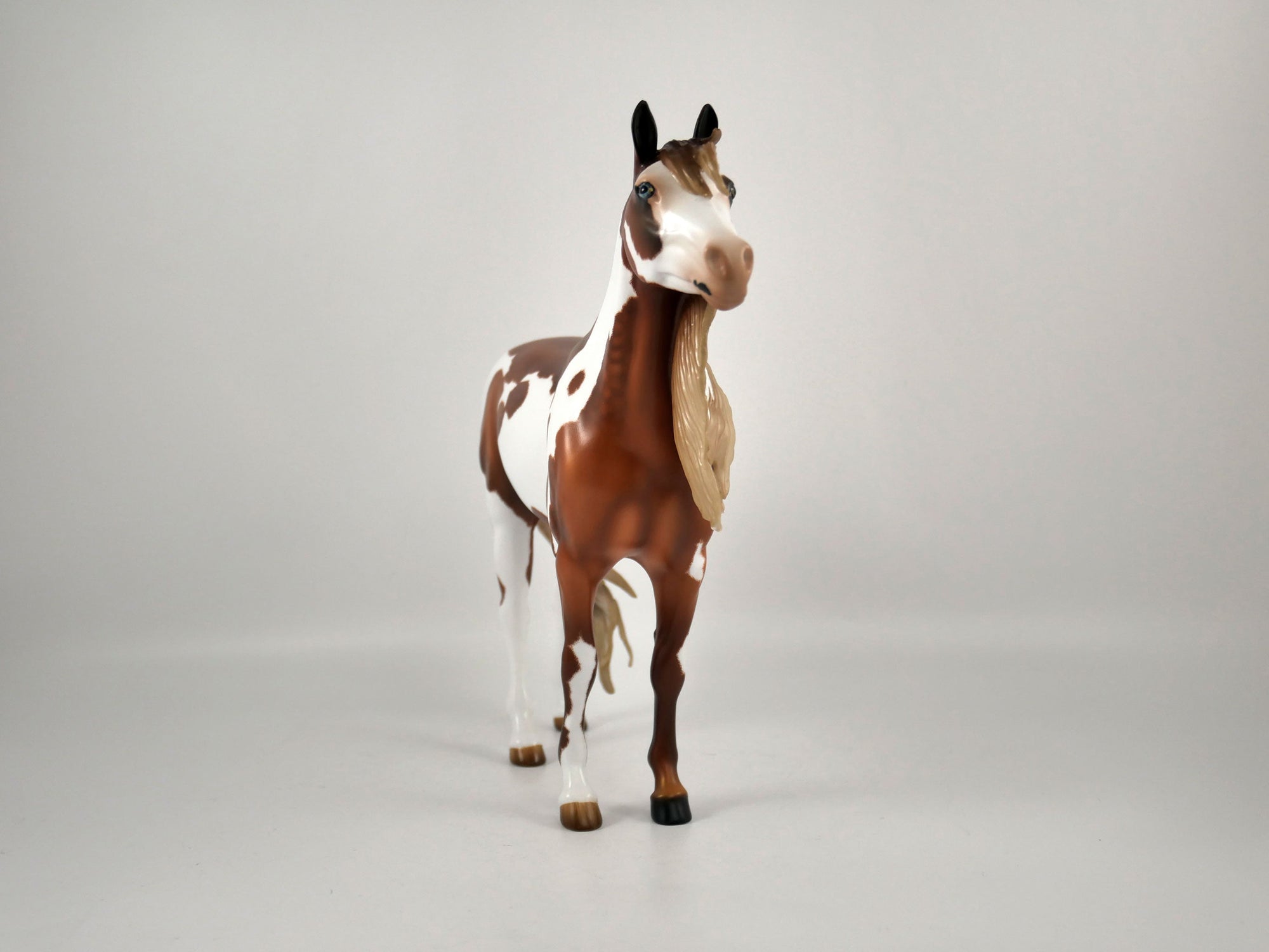 SOUTH STEENS-OOAK FLAXEN CHESTNUT OVERO MUSTANG BY AUDREY DIXON 12/21/20