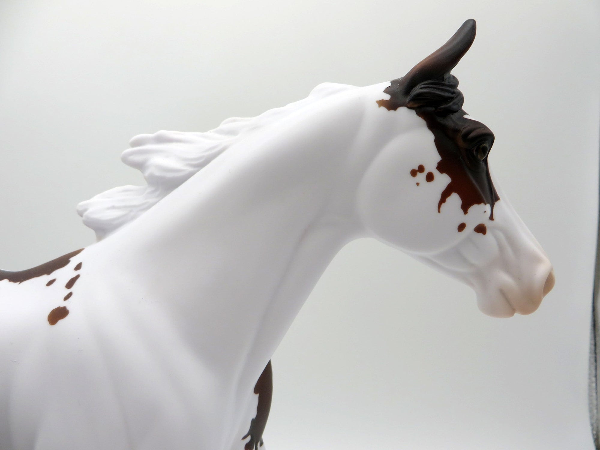 Southern Chick LE-5 Bay Paint Palouse 3/26/21