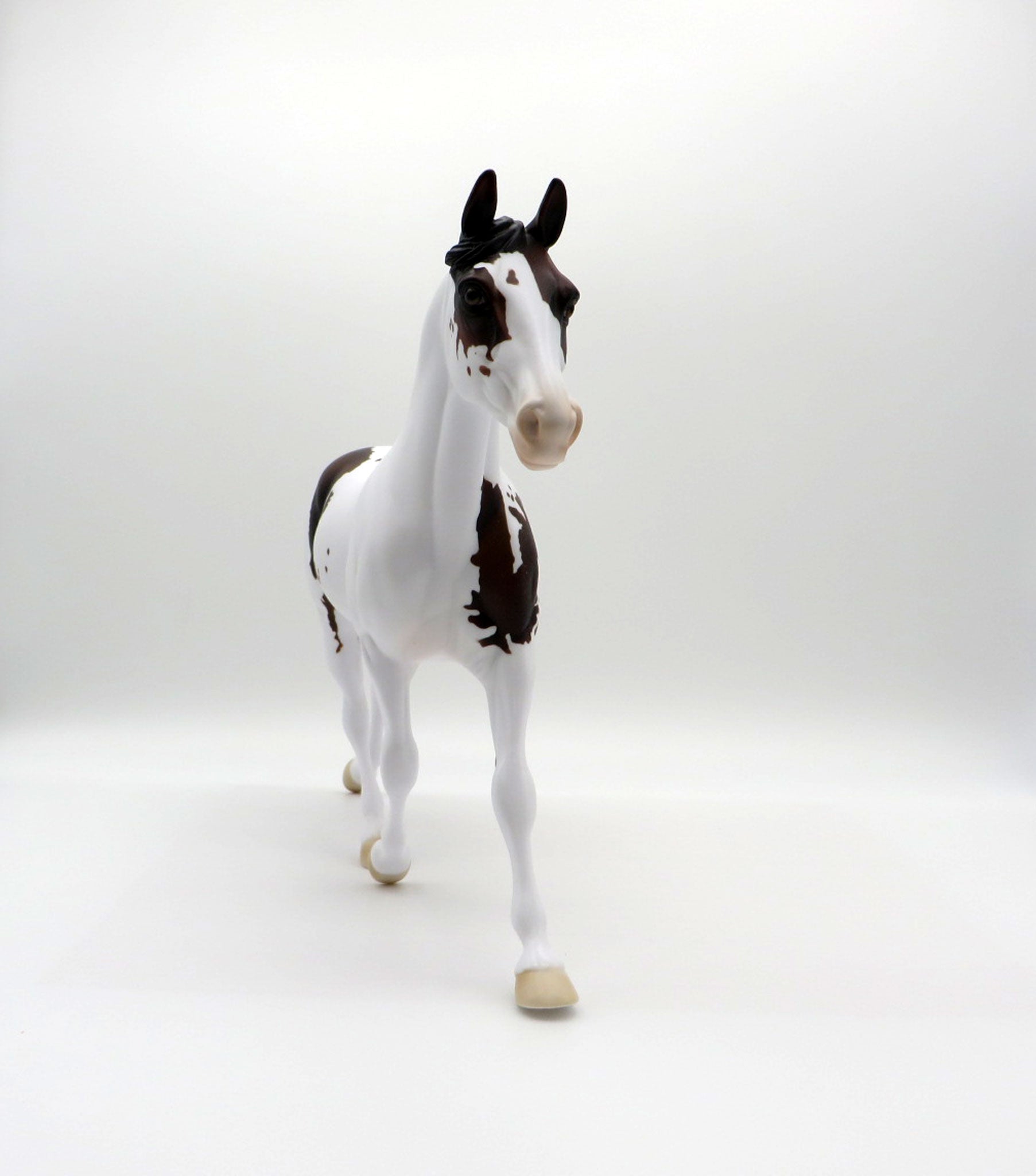 Southern Chick LE-5 Bay Paint Palouse 3/26/21