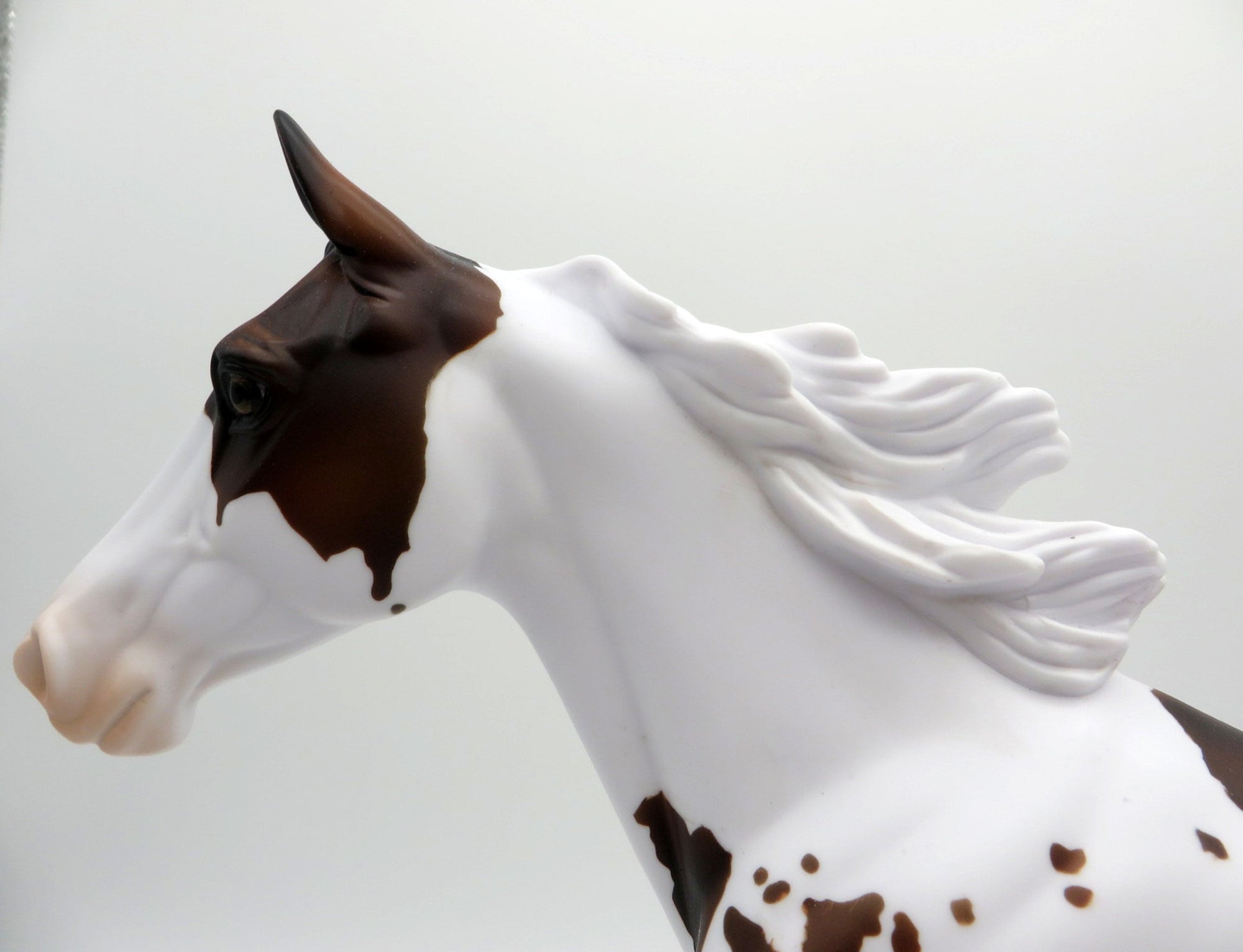 Southern Chick LE-5 Bay Paint Palouse 3/26/21