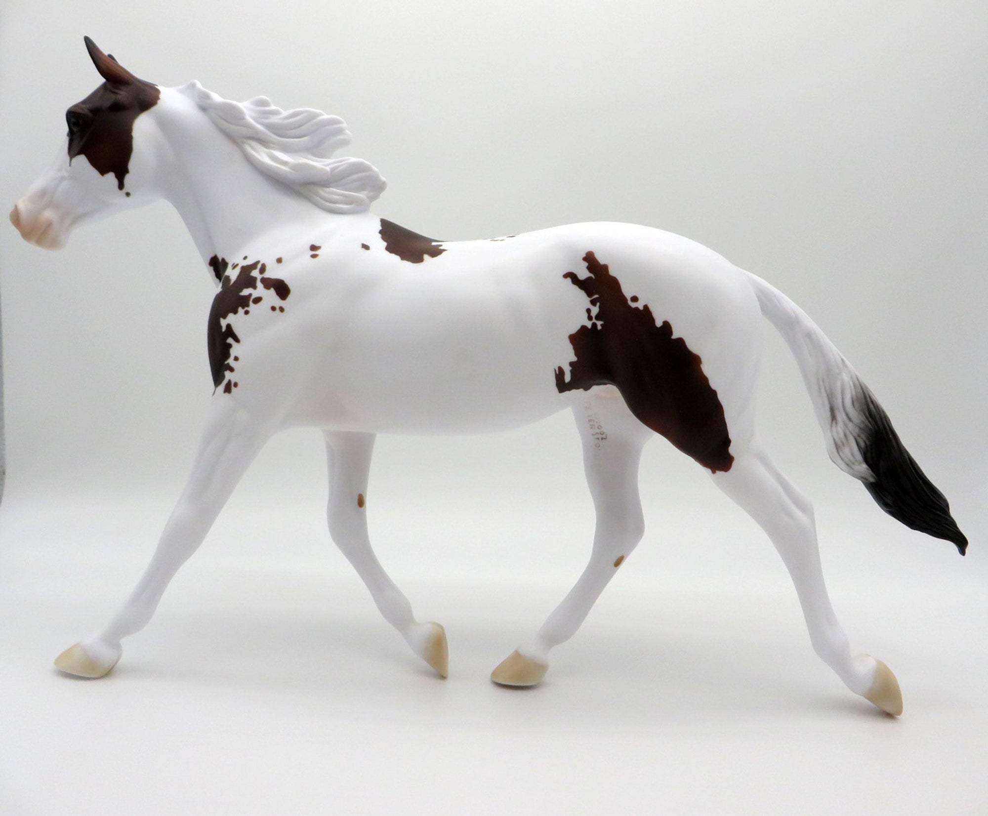 Southern Chick LE-5 Bay Paint Palouse 3/26/21